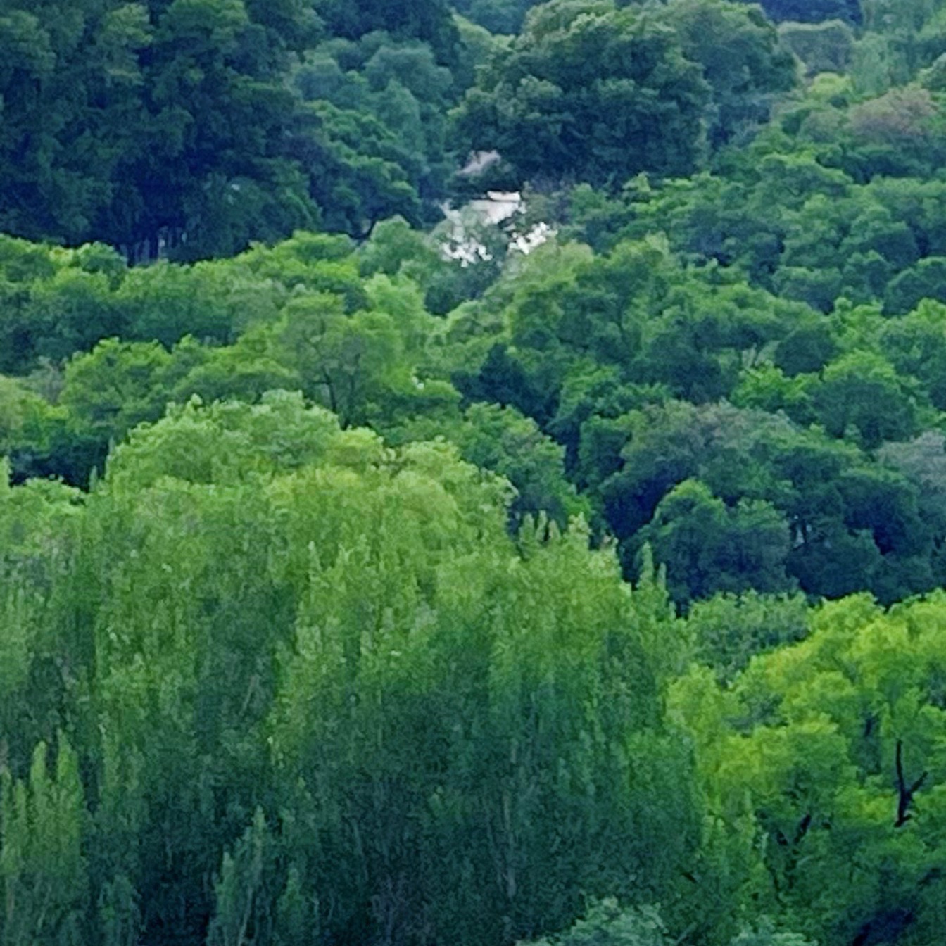 龙沙公园旅行图片 3