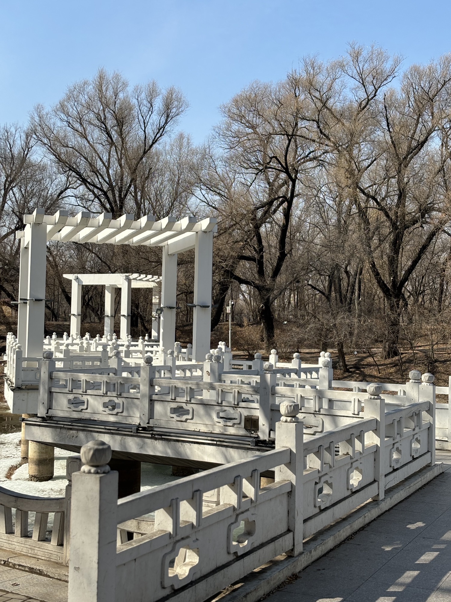 龙沙公园旅行图片 1