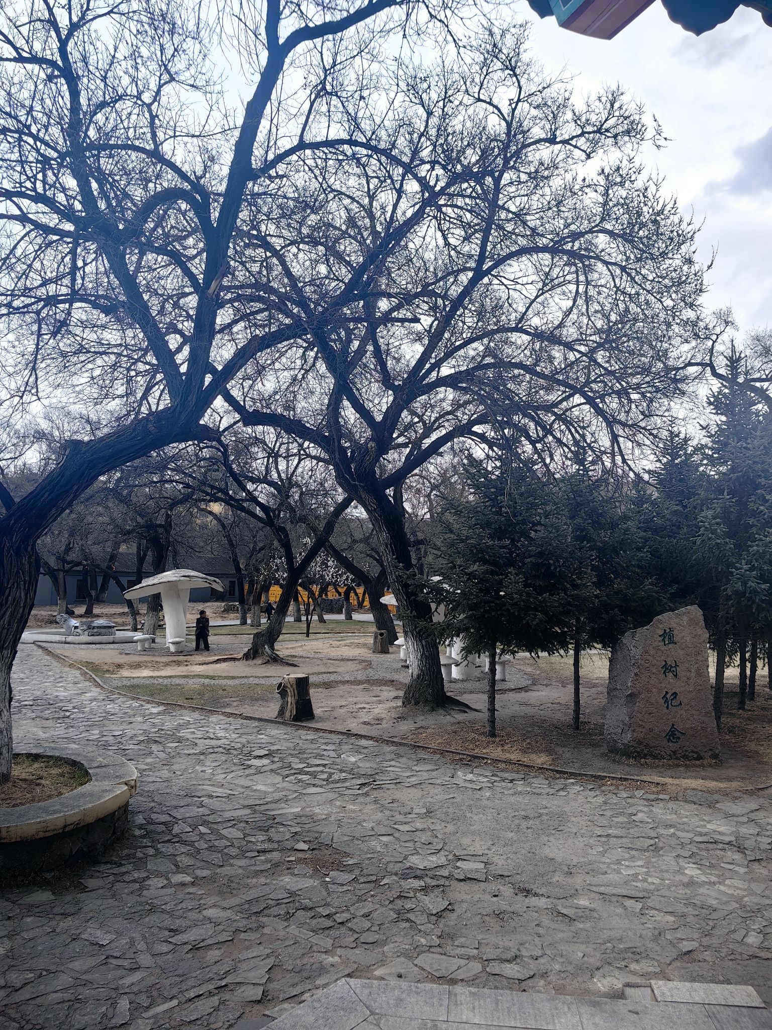 龙沙公园旅行图片 2
