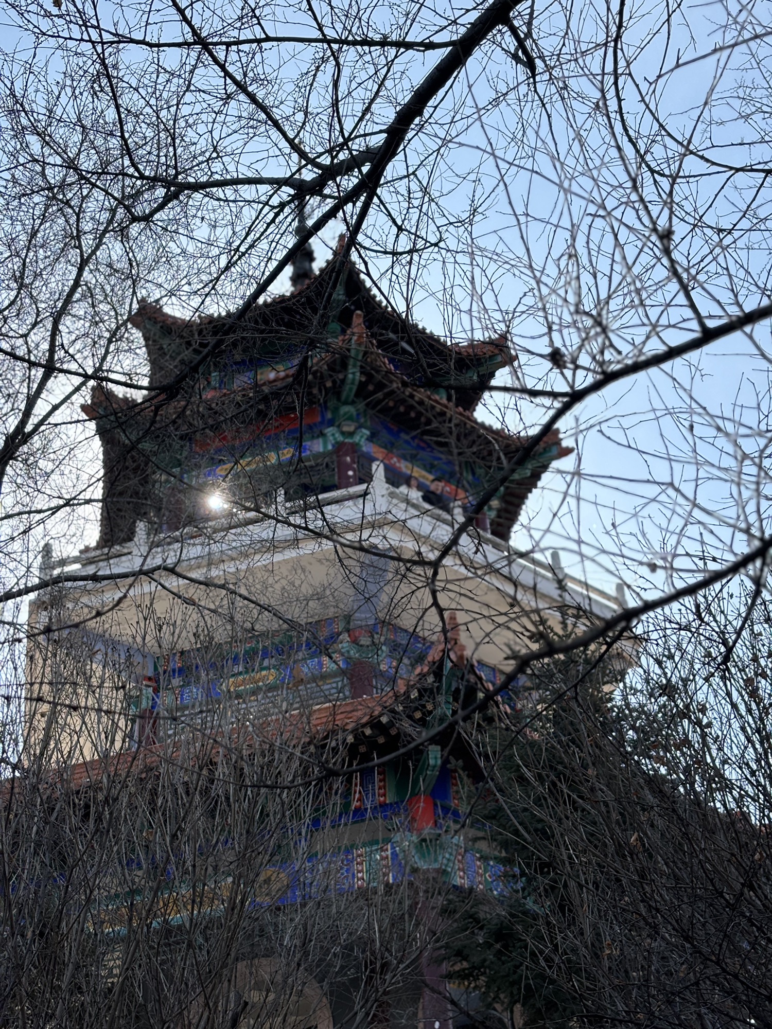龙沙公园旅行图片 3