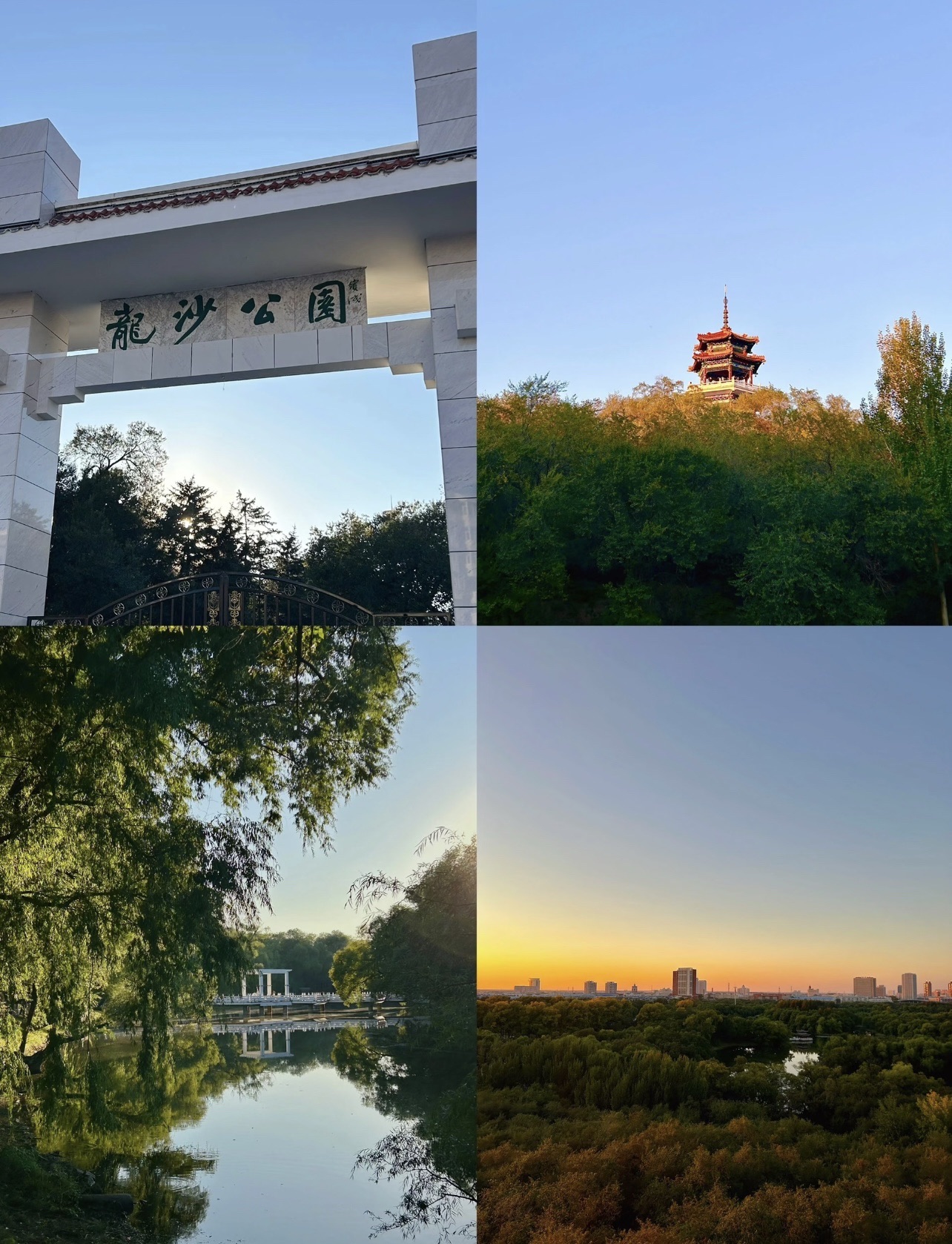 龙沙公园