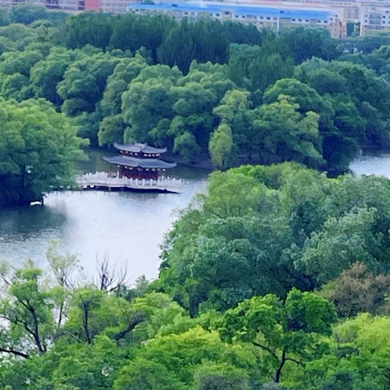 龙沙公园旅行图片 1