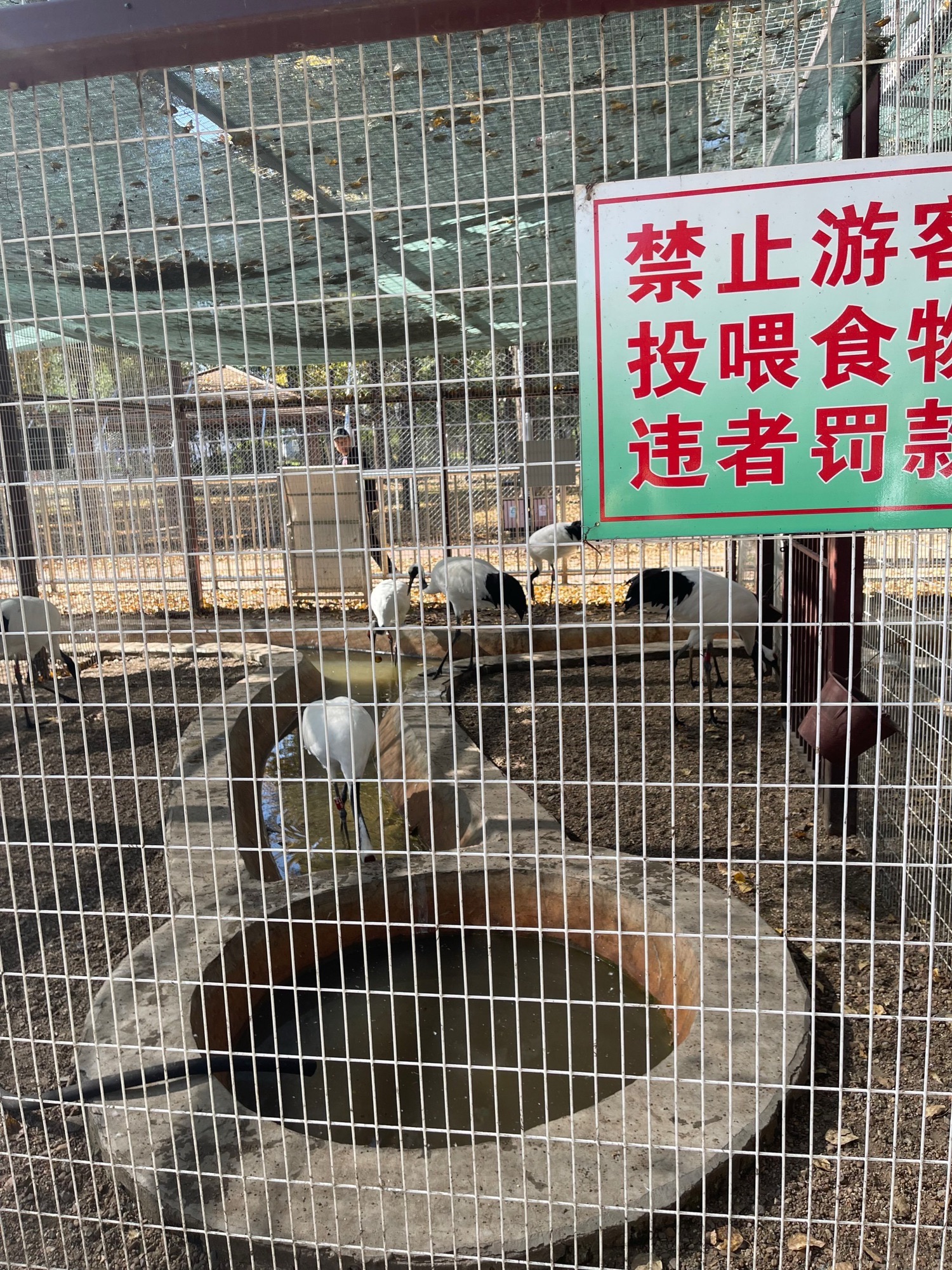 红岸公园旅行图片 2