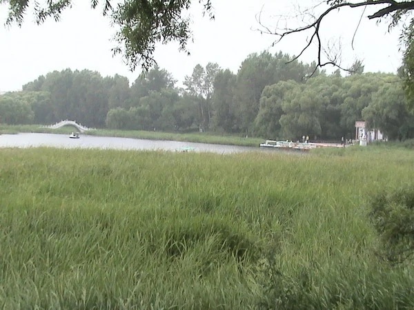 雨亭国家城市湿地公园旅行图片 1