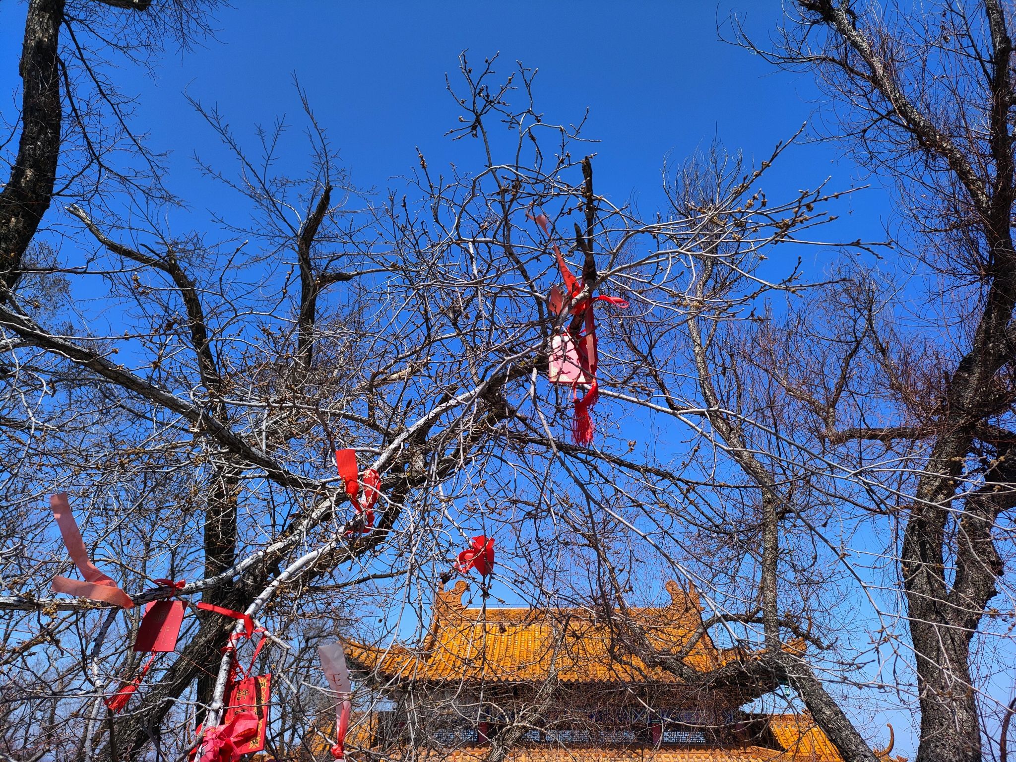 二克山公园旅行图片 2