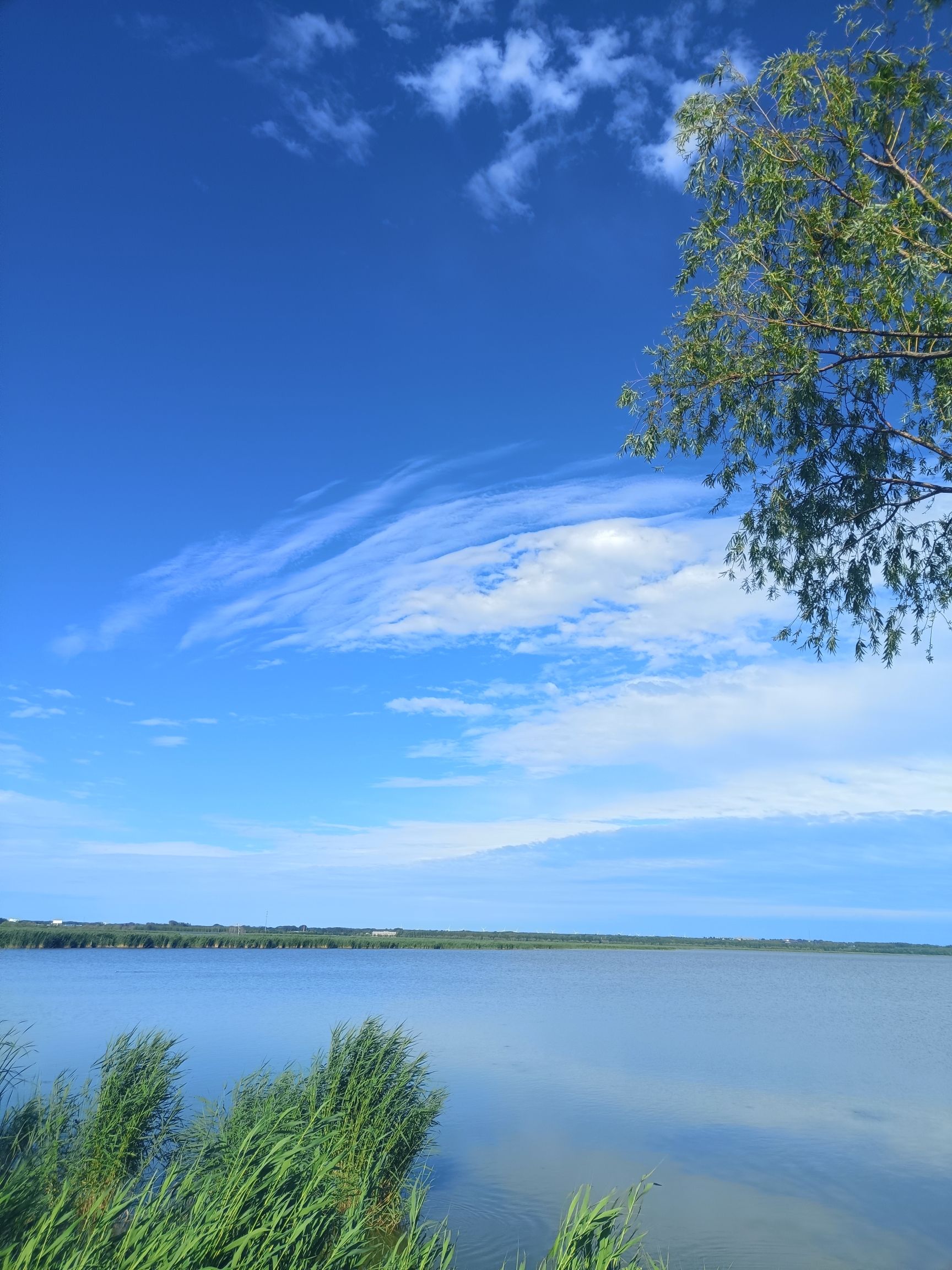 泰湖国家湿地公园