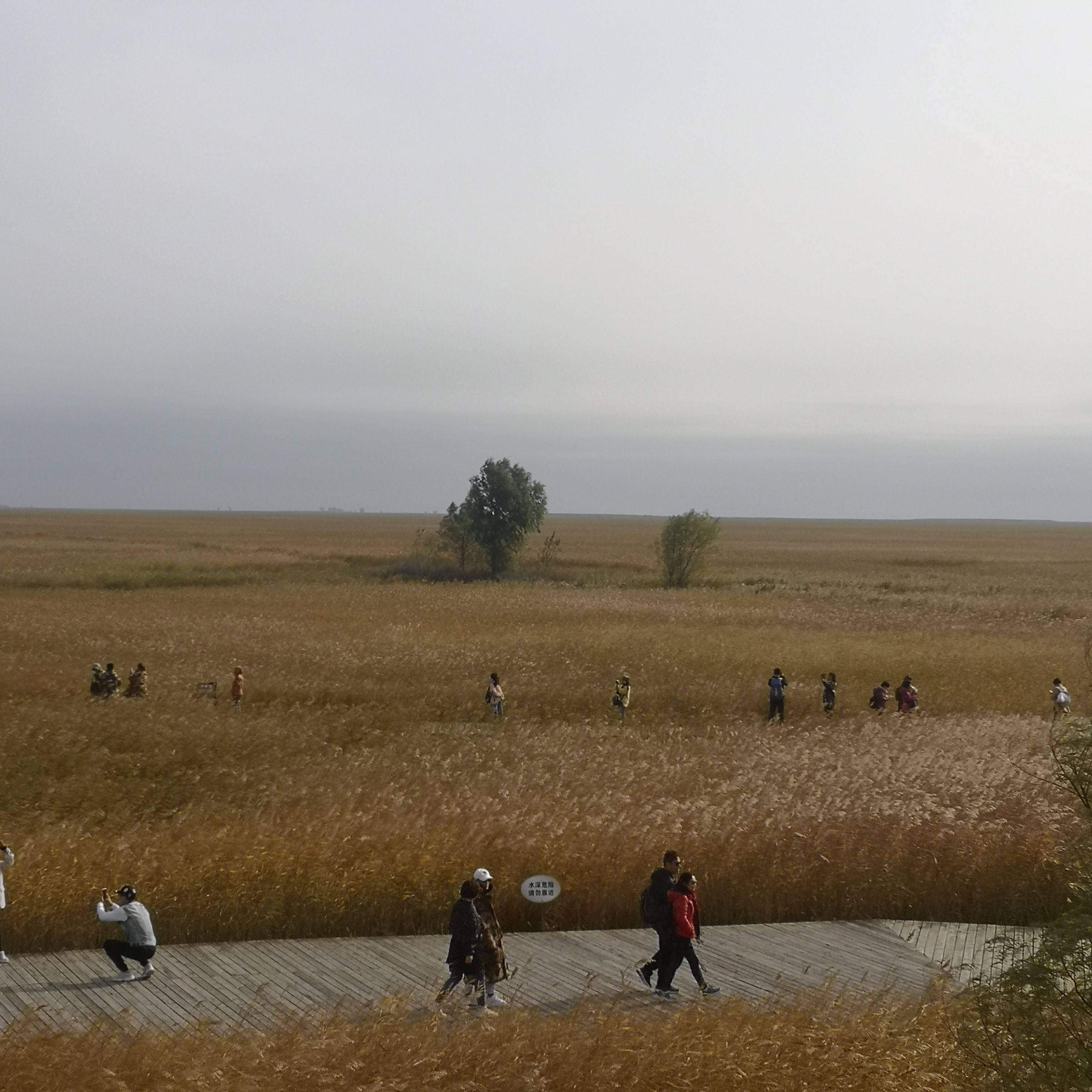 扎龙国家级自然保护区旅行图片 3