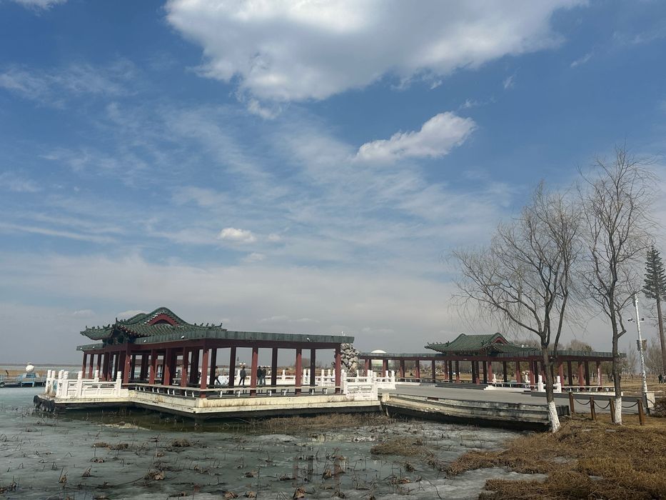 扎龙国家级自然保护区旅行图片 3