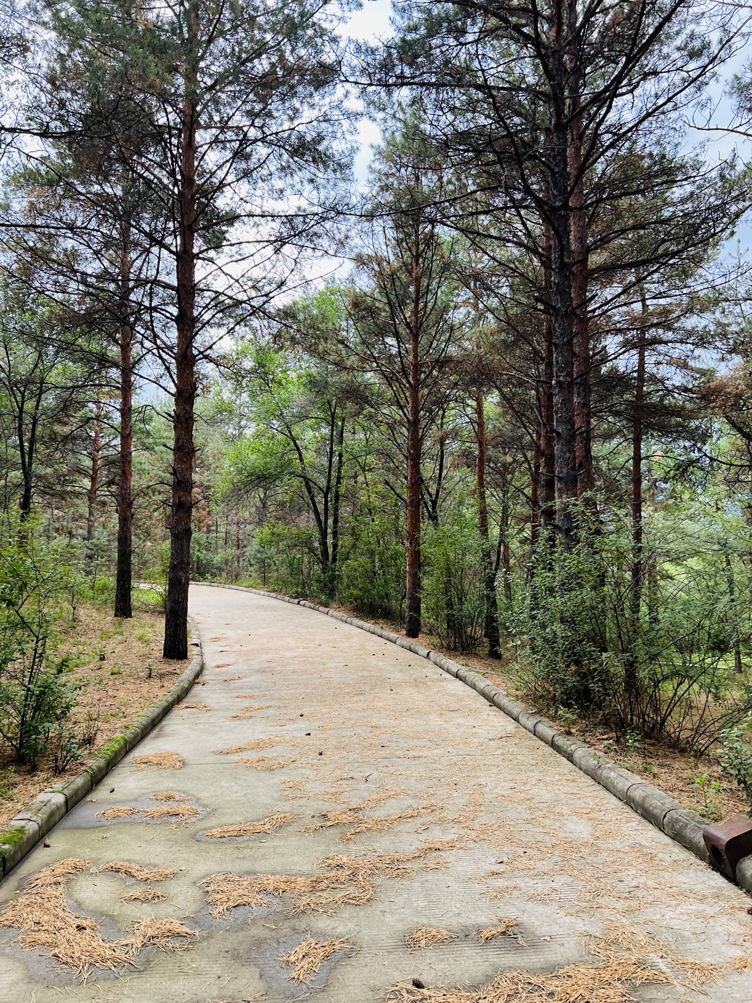 音河水库旅游风景区旅行图片 2