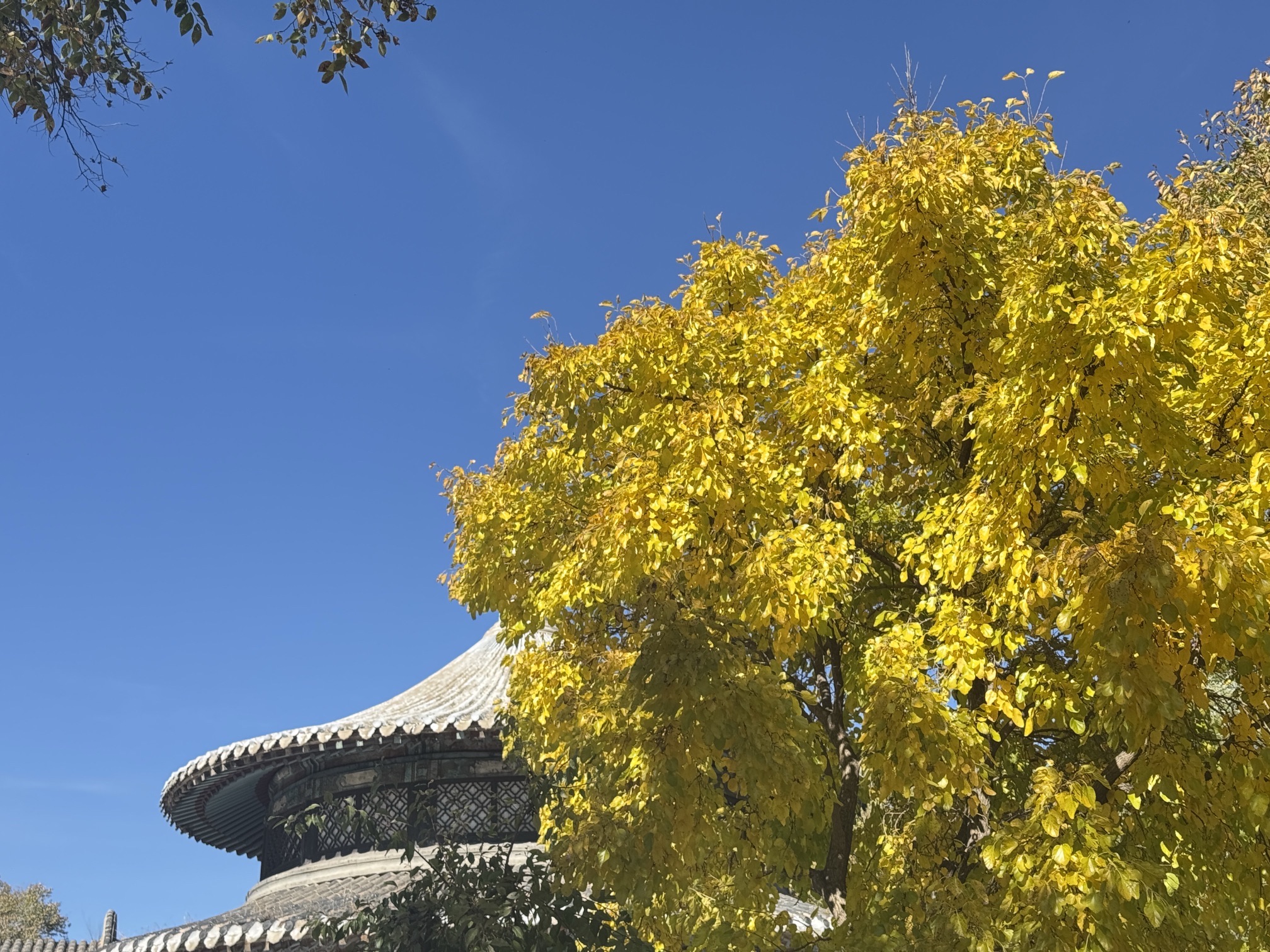 明月岛旅行图片 1