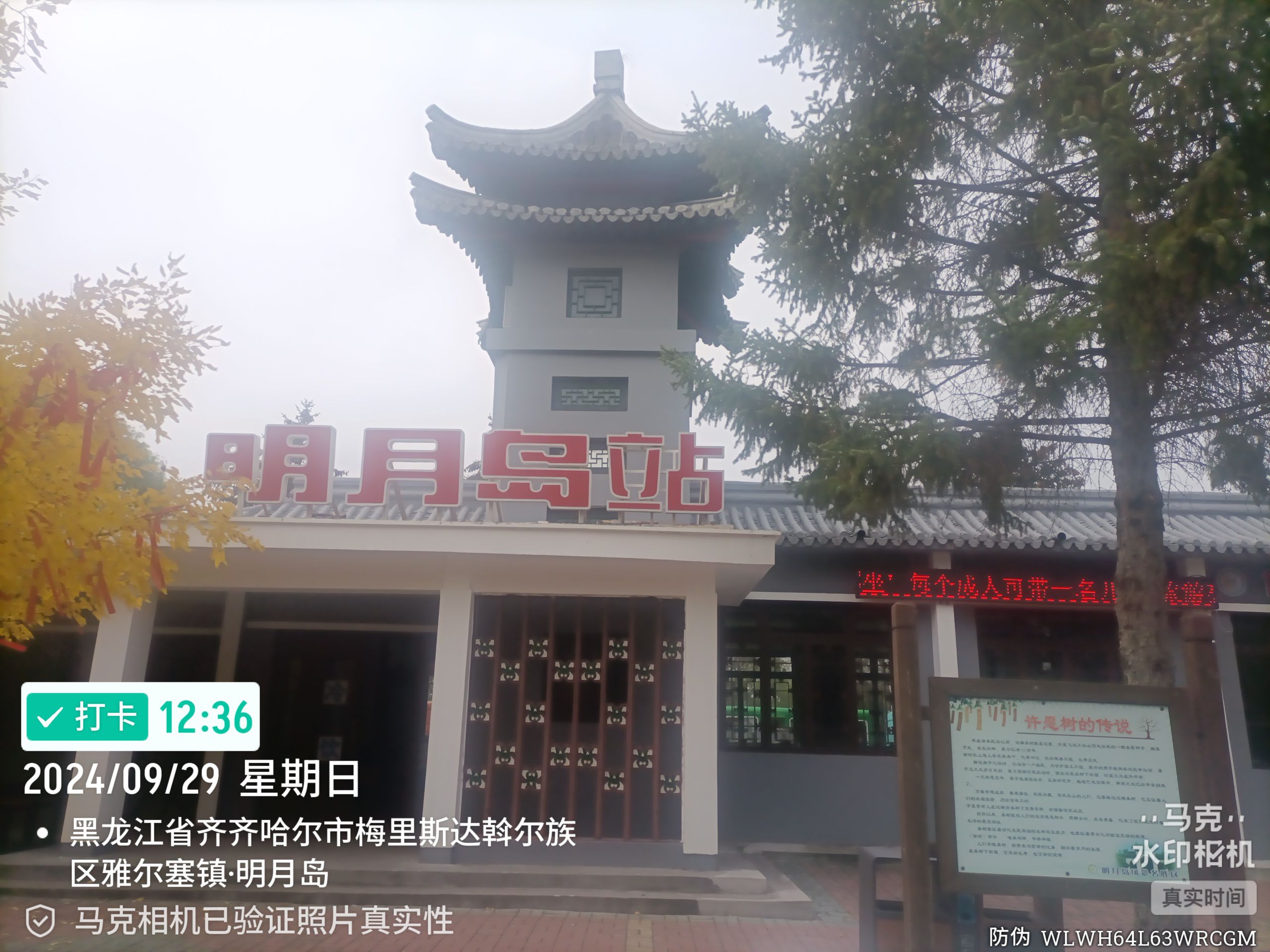 明月岛旅行图片 1