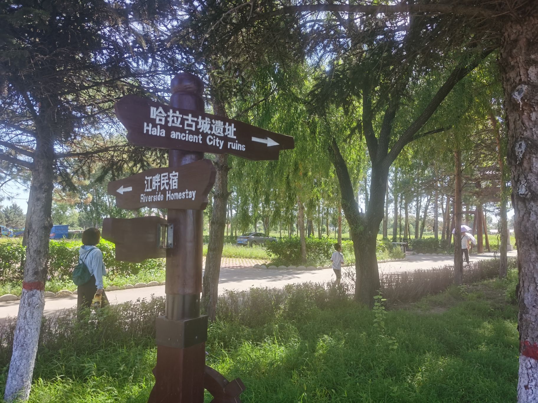 哈拉新村旅行图片 2