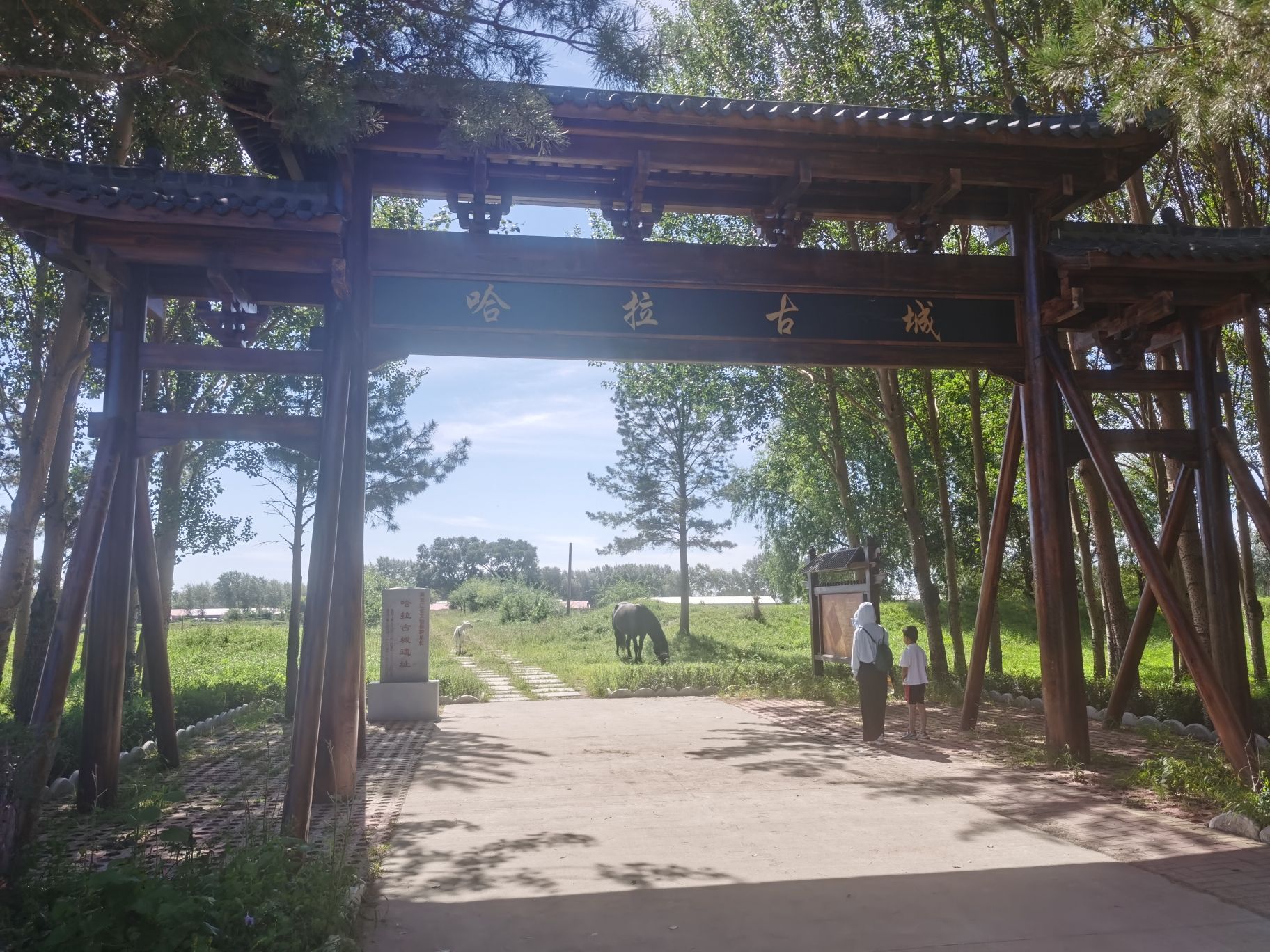 哈拉新村旅行图片 3
