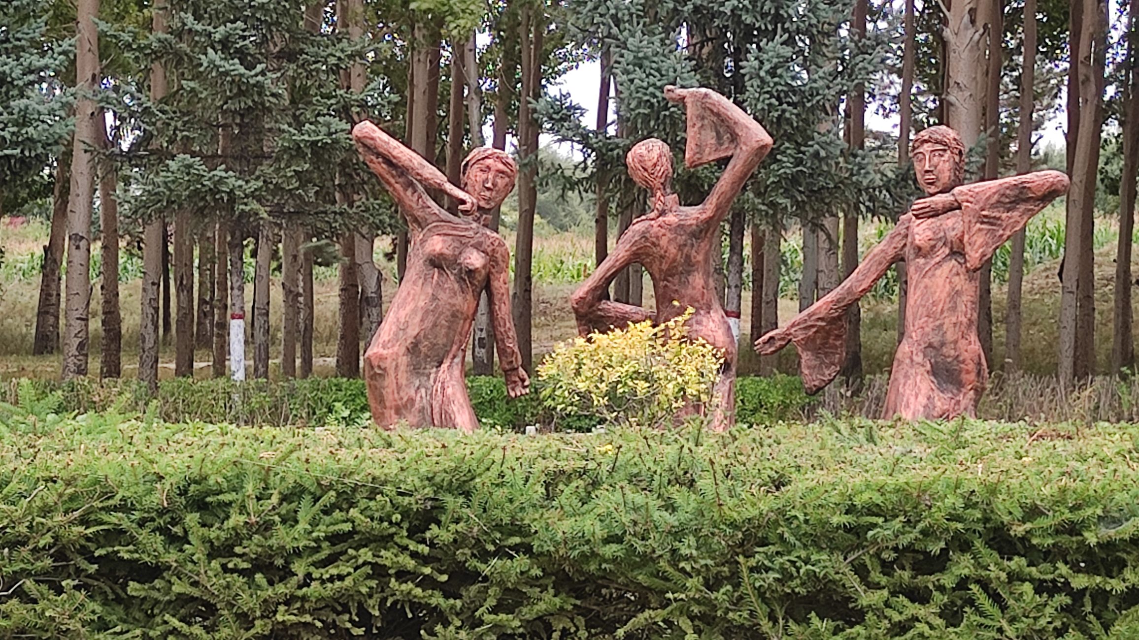 哈拉新村旅行图片 2