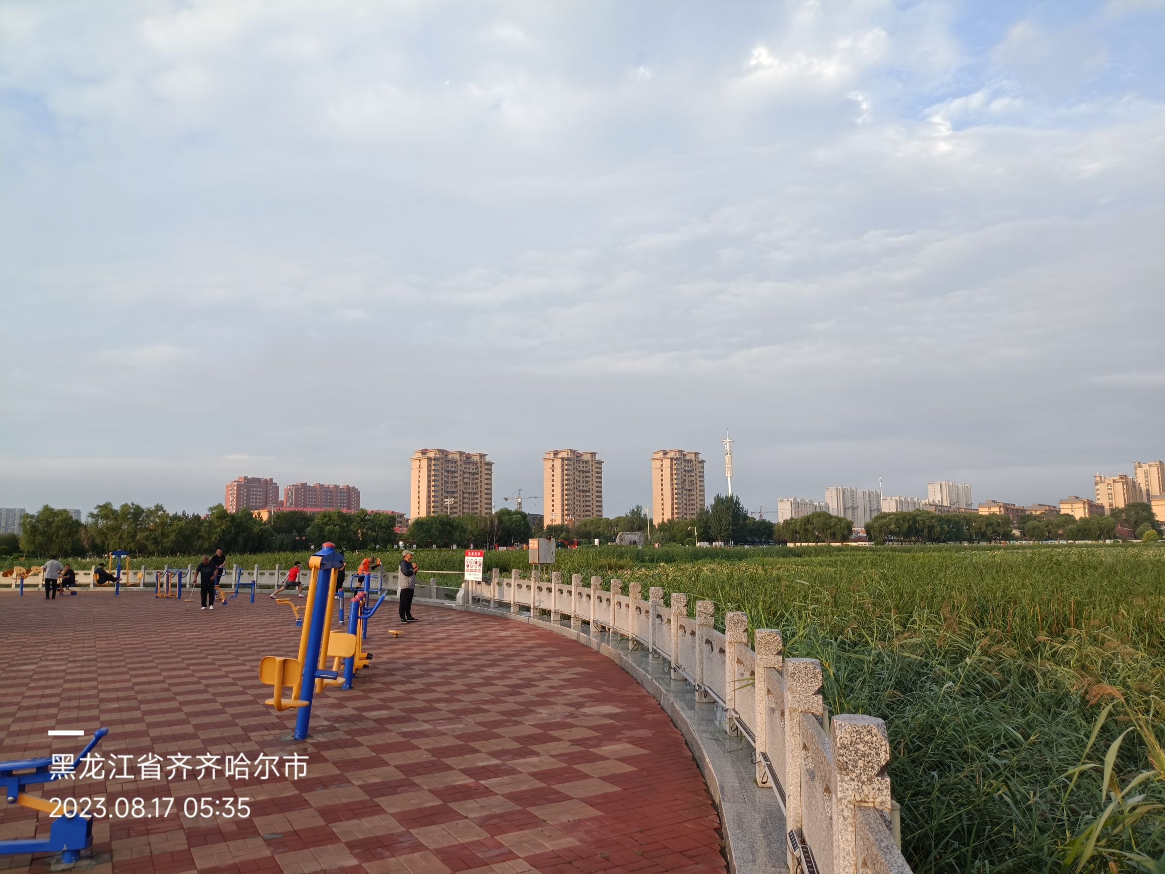 为民湖绿色生态园旅行图片 3