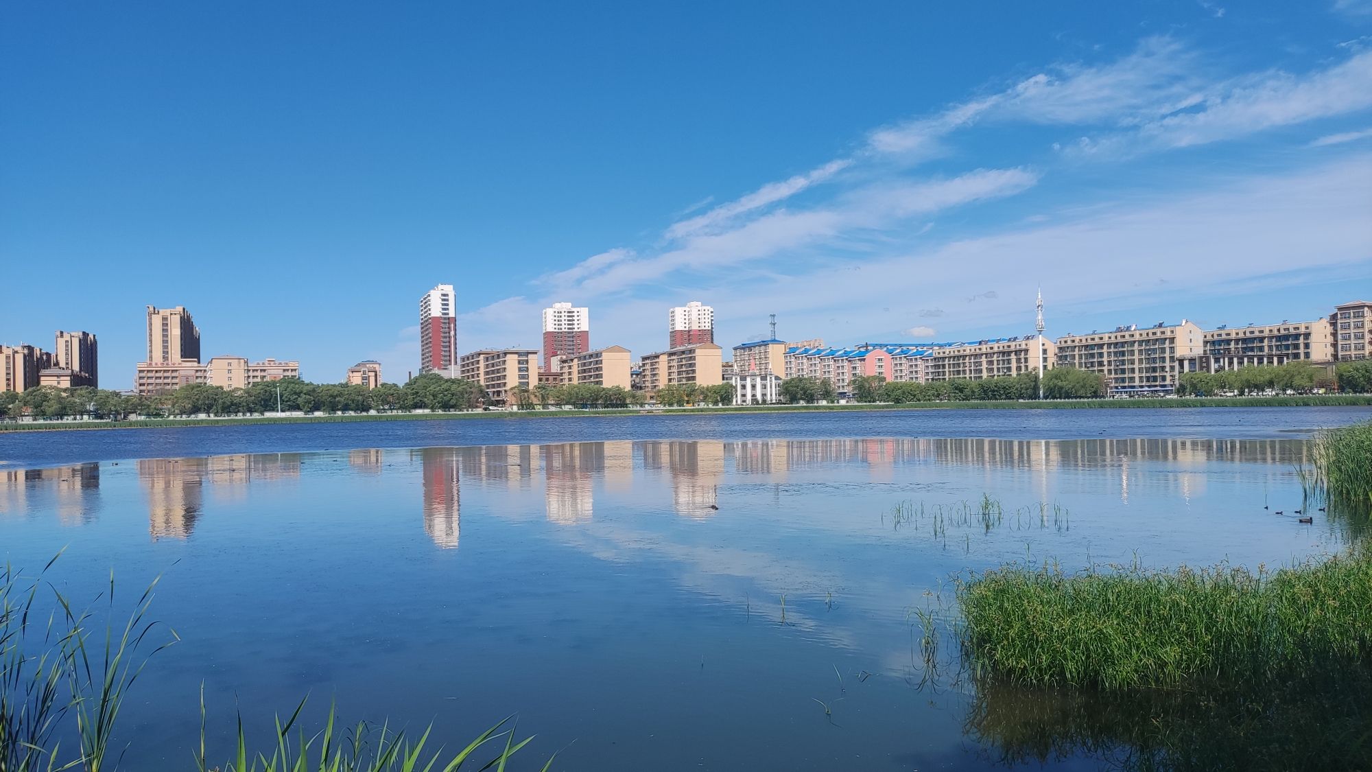 为民湖绿色生态园