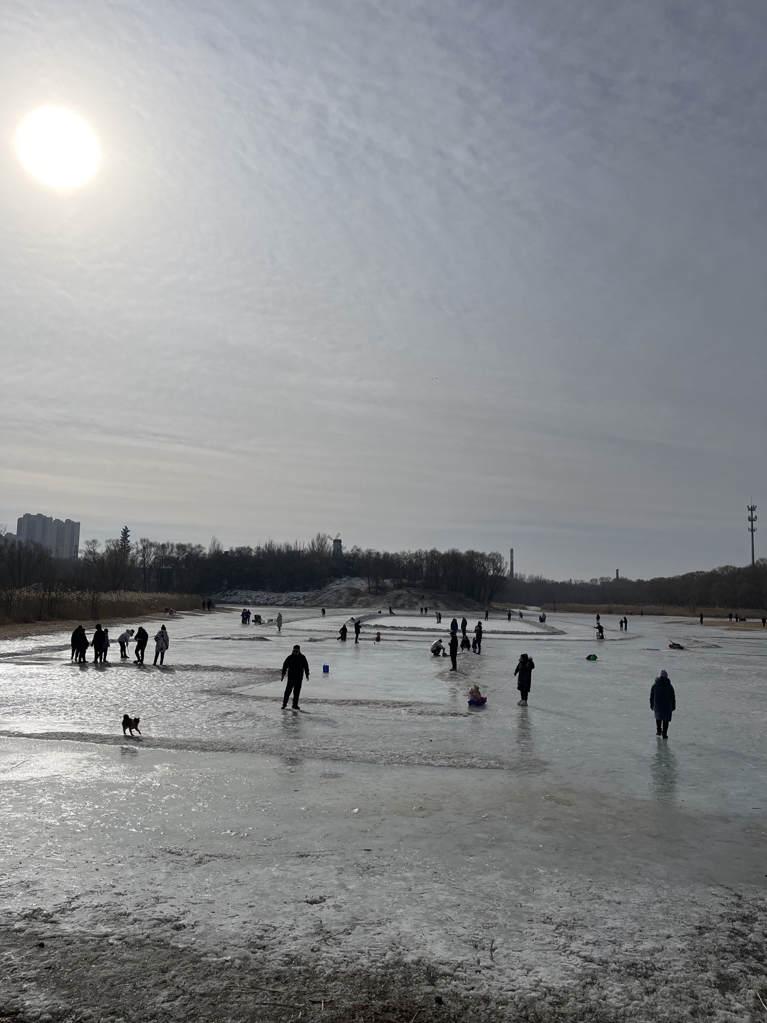 东湖公园旅行图片 2