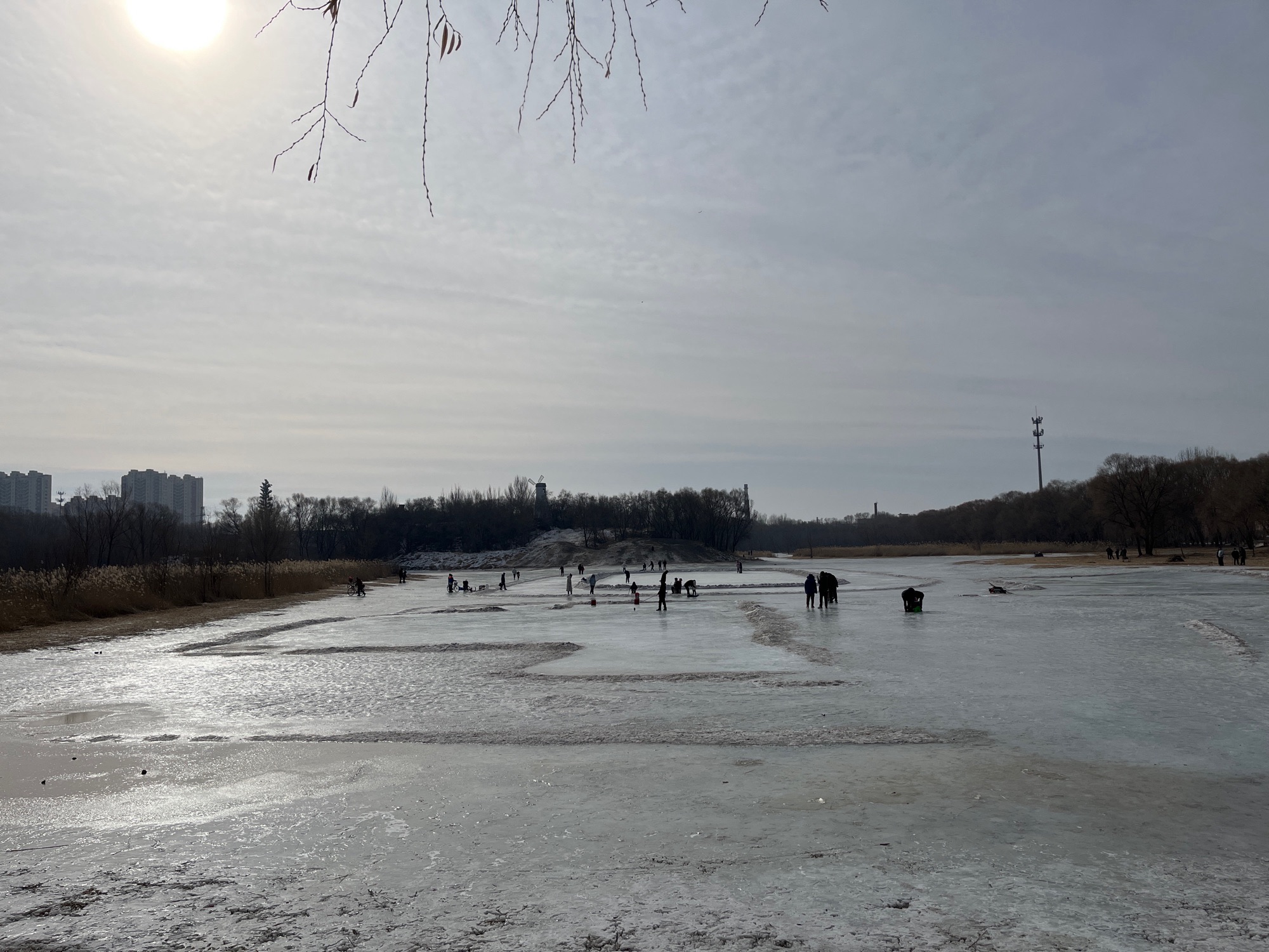 东湖公园旅行图片 3