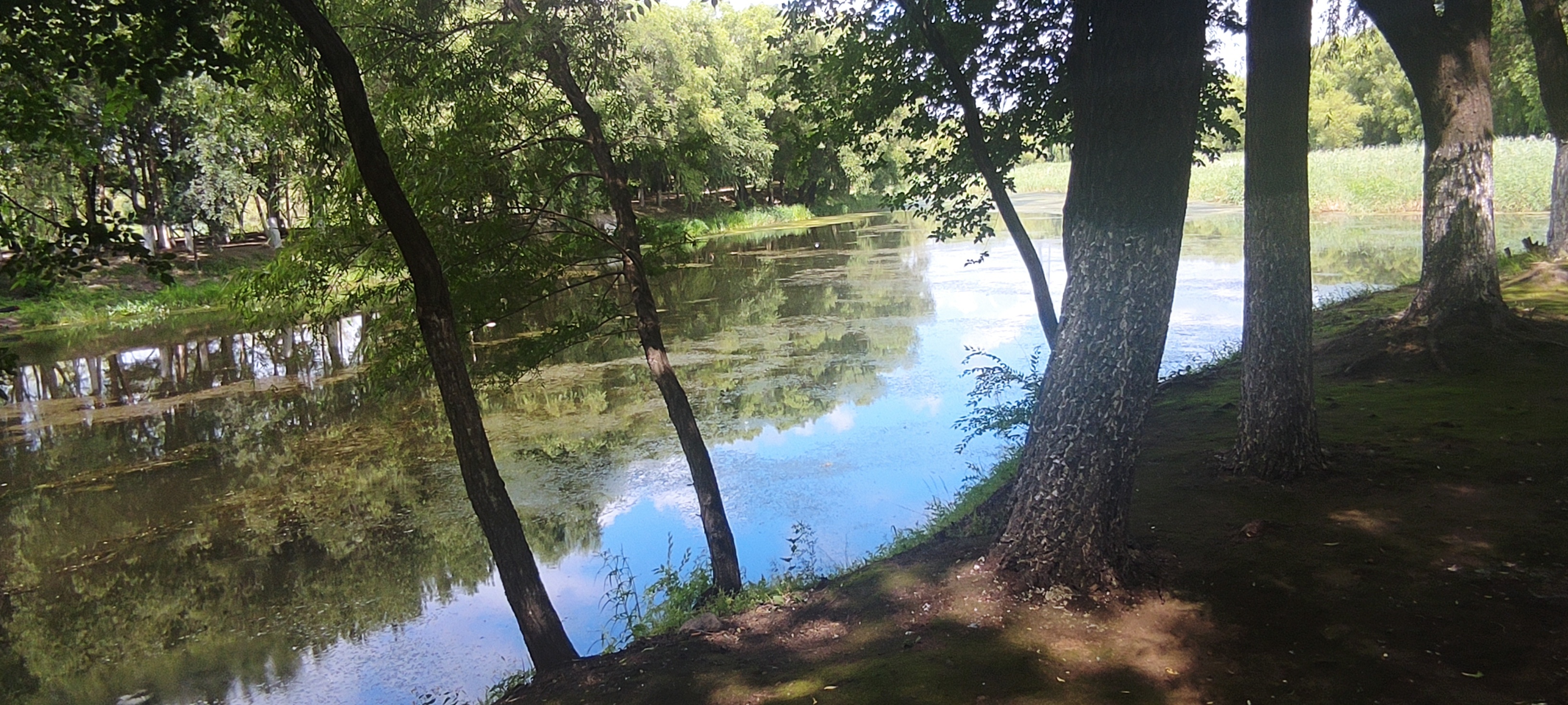 东湖公园旅行图片 1
