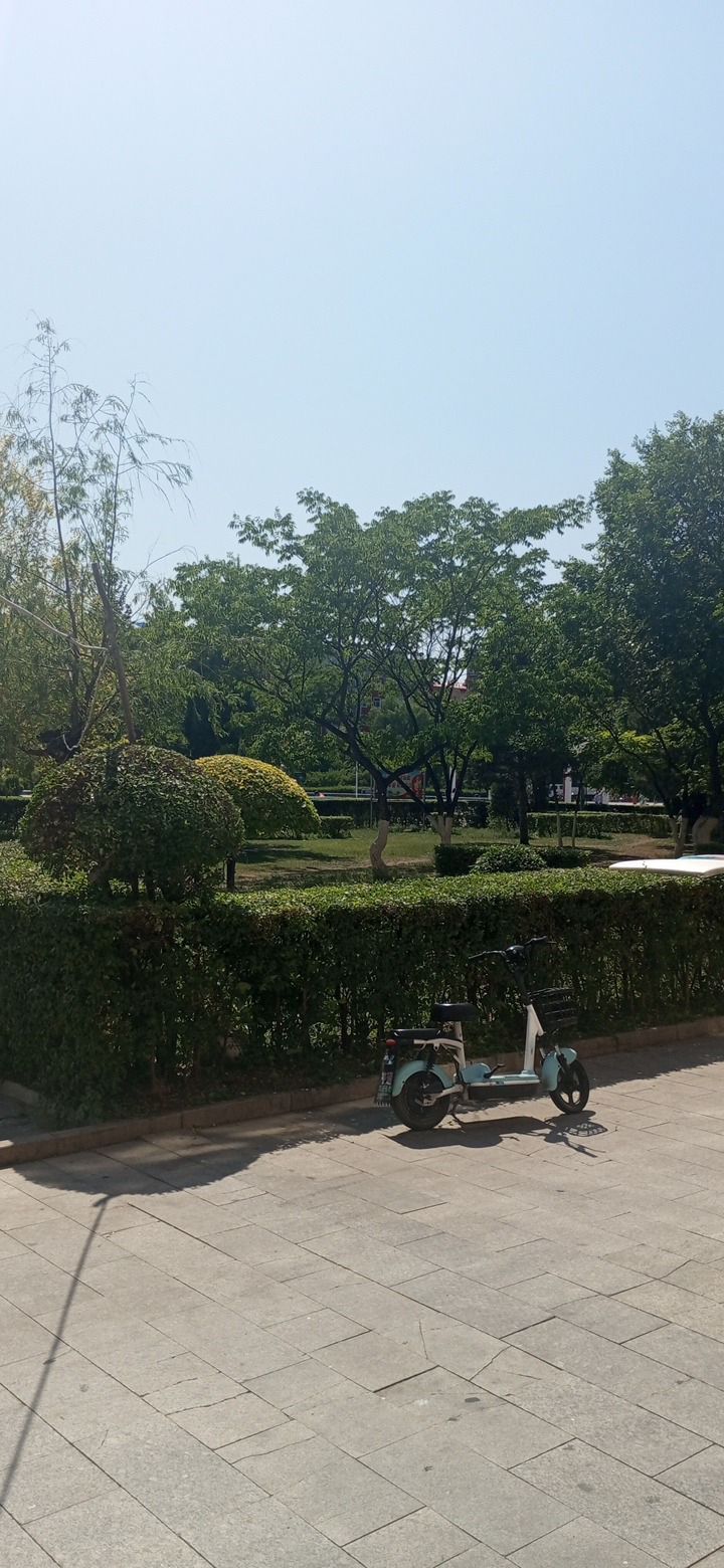 志刚广场旅行图片 1