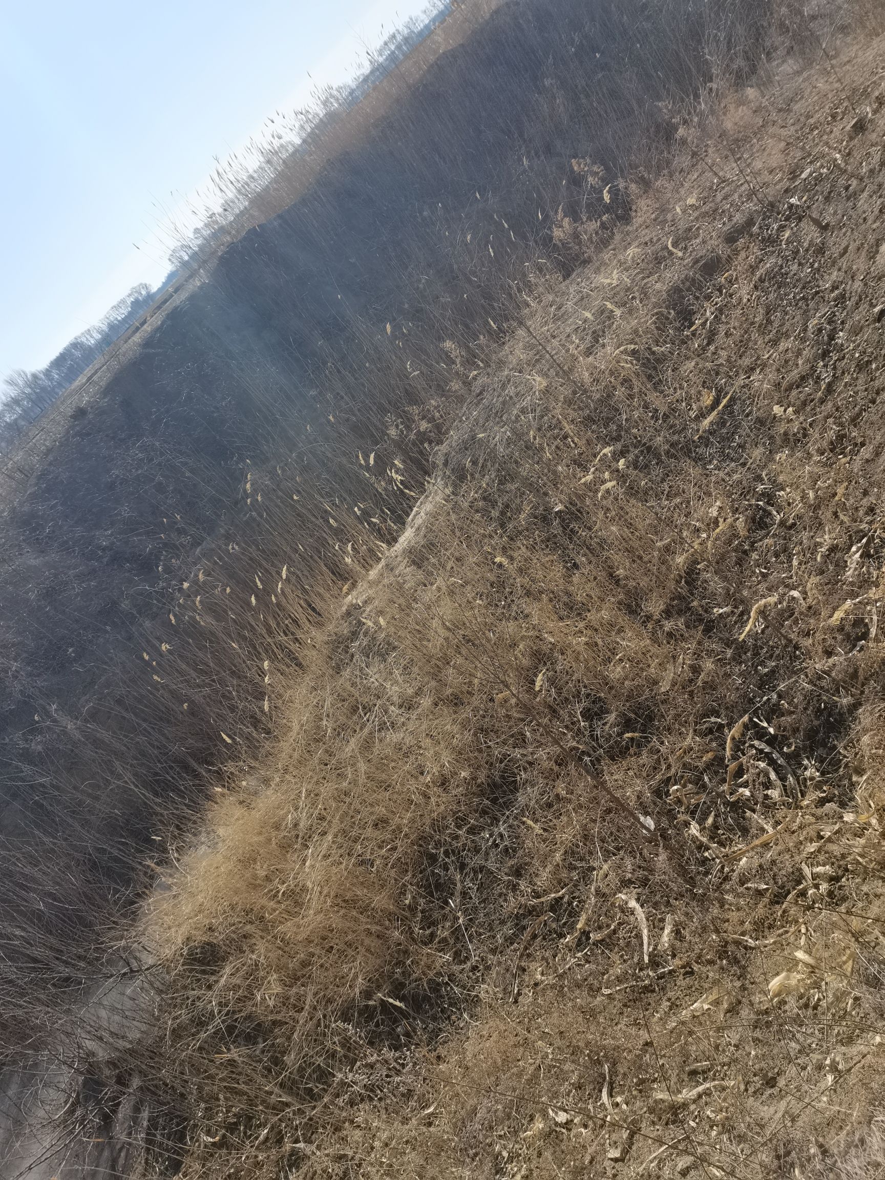 东升石器时代遗址旅行图片 1