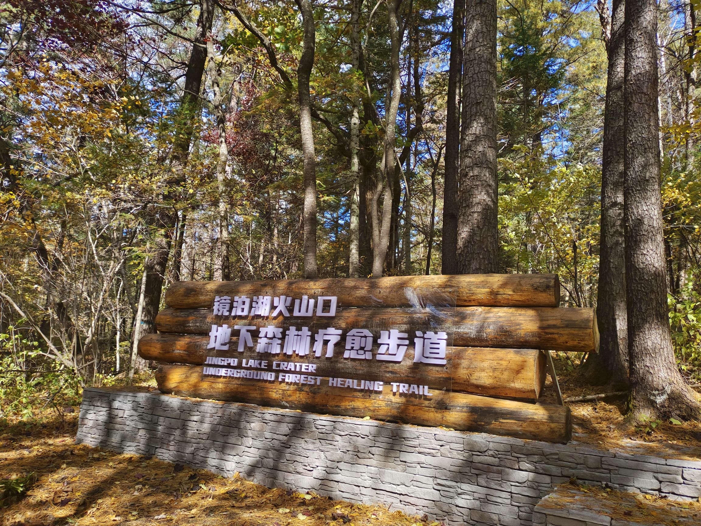 火山口国家森林公园(暂停开放)旅行图片 2