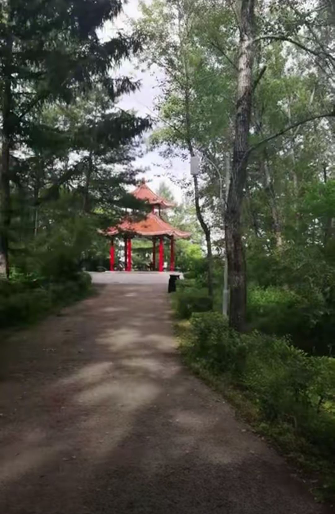 南山公园旅行图片 2