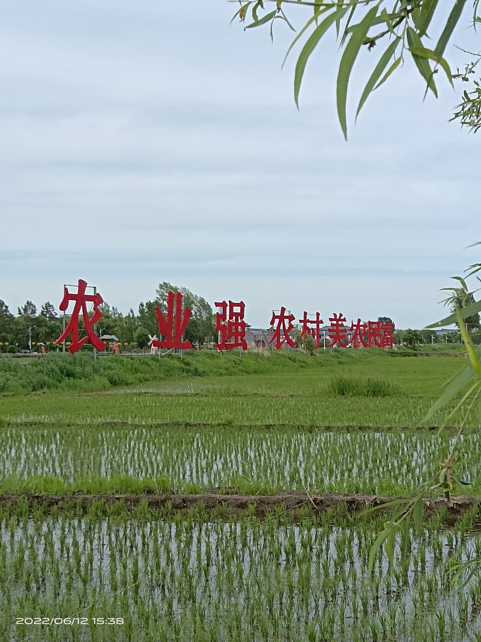 渤海风情园旅行图片 1