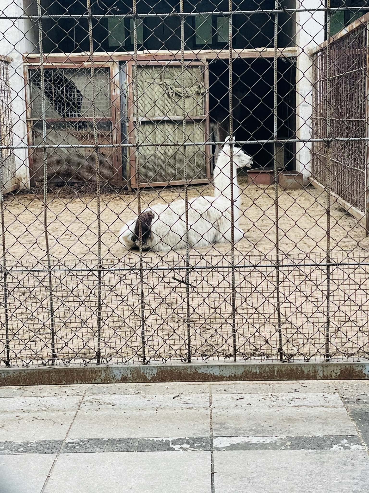人民公园旅行图片 3