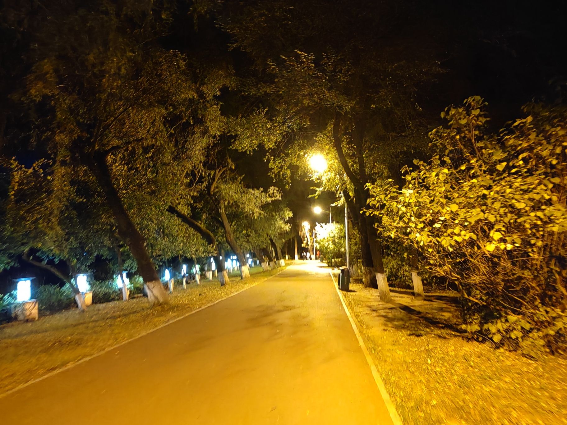 人民公园旅行图片 3