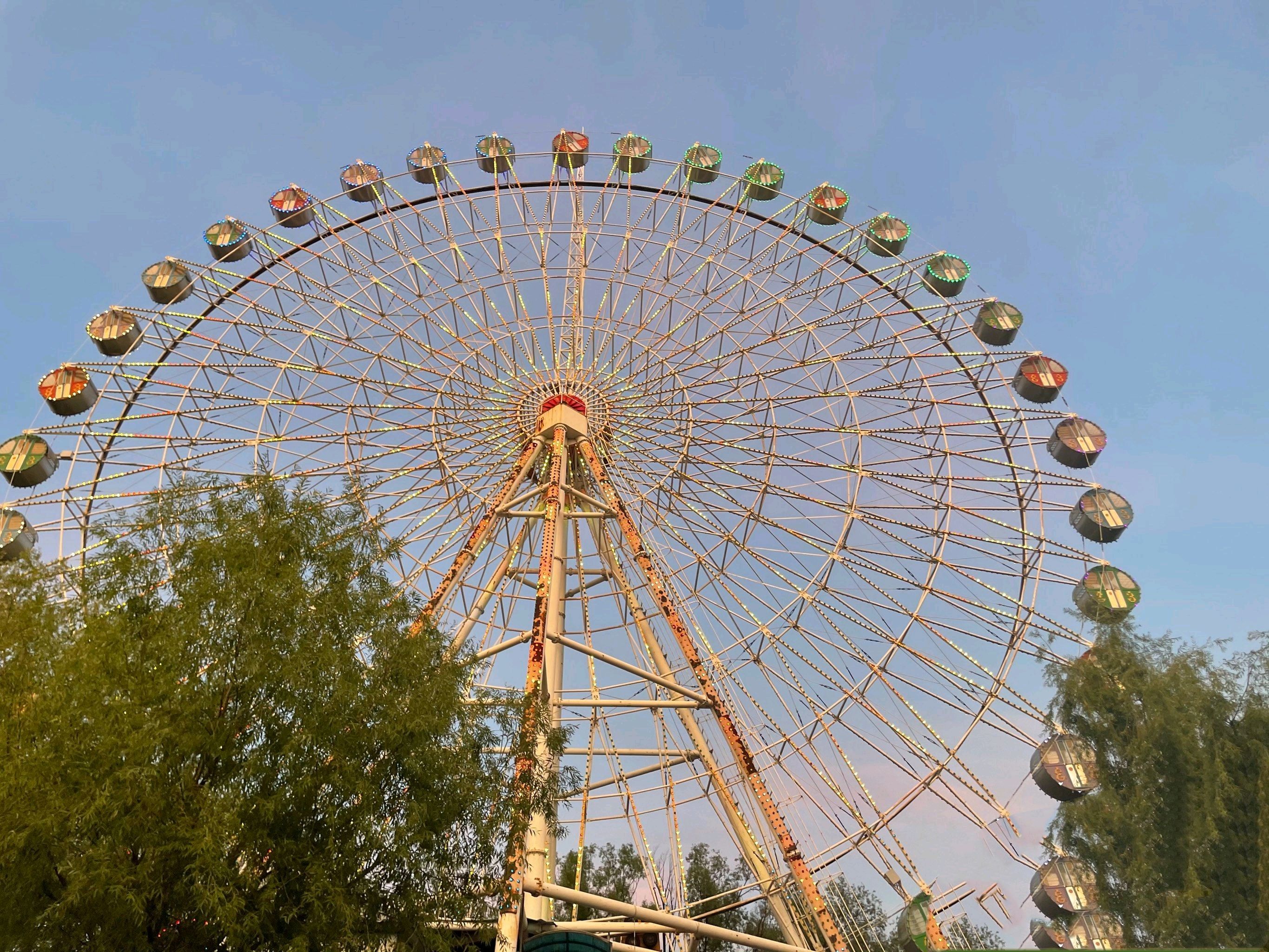 人民公园旅行图片 3
