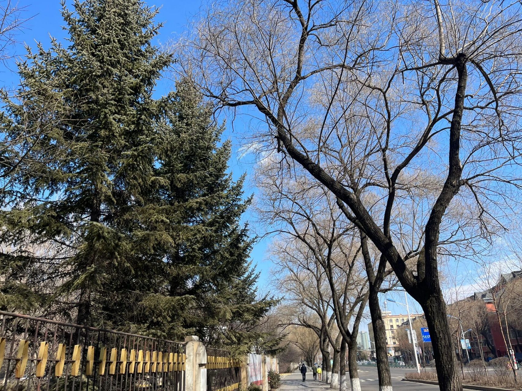 人民公园旅行图片 3