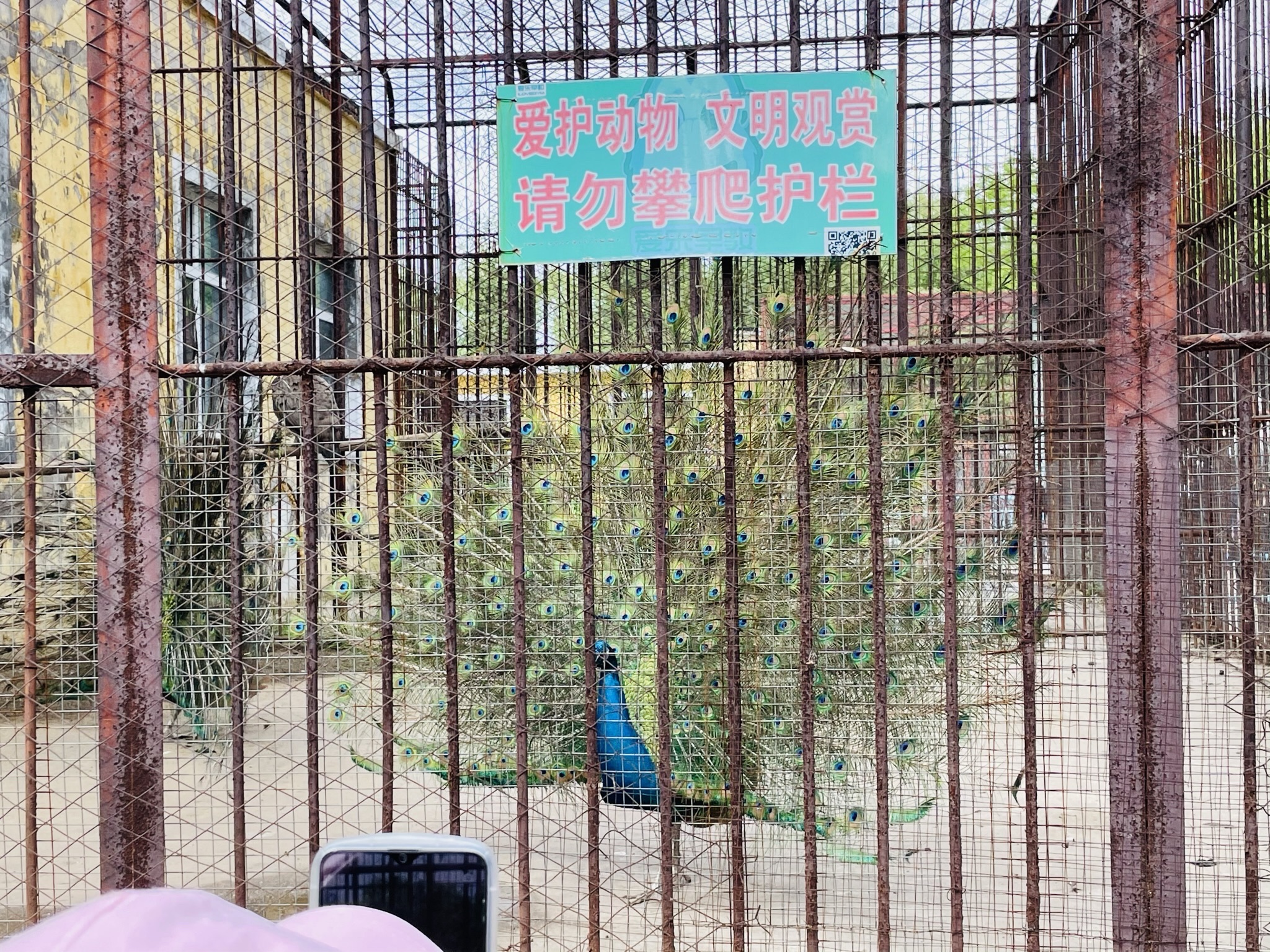 人民公园旅行图片 1