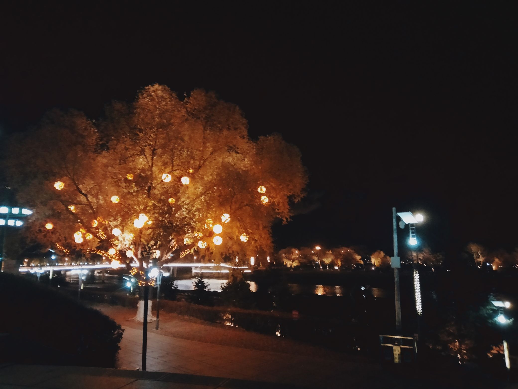 江滨公园旅行图片 1