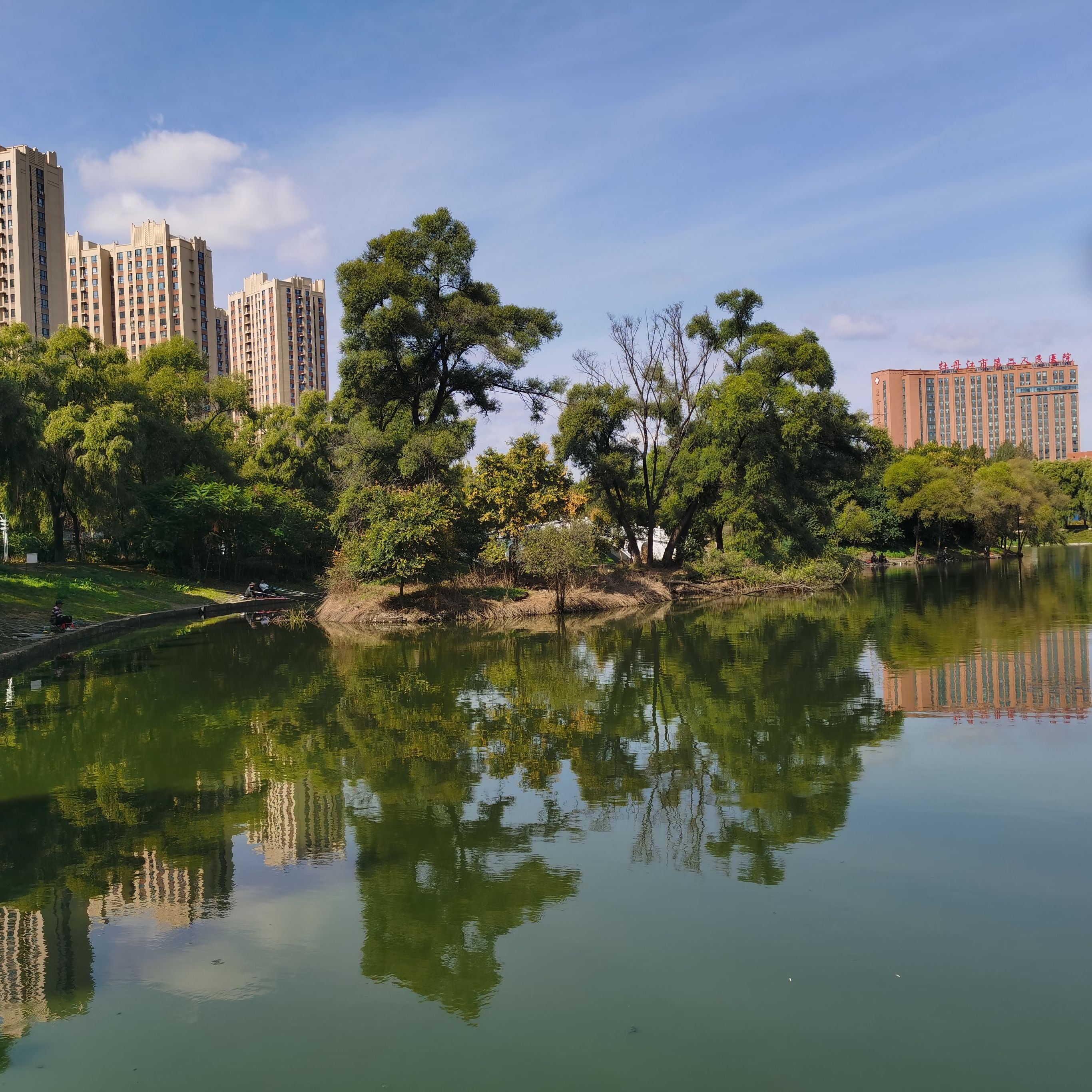 阳明公园旅行图片 3