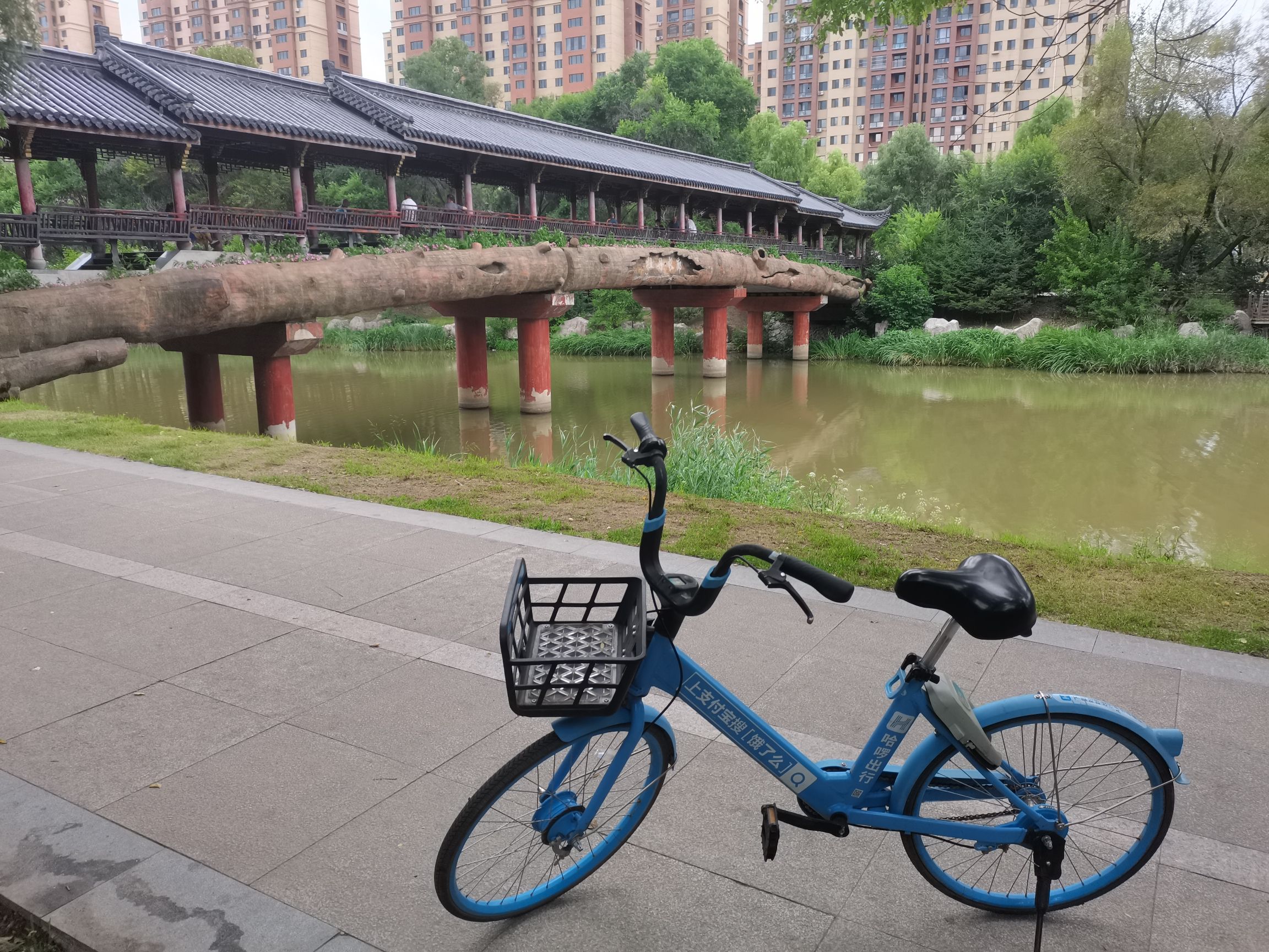 南湖公园旅行图片 2