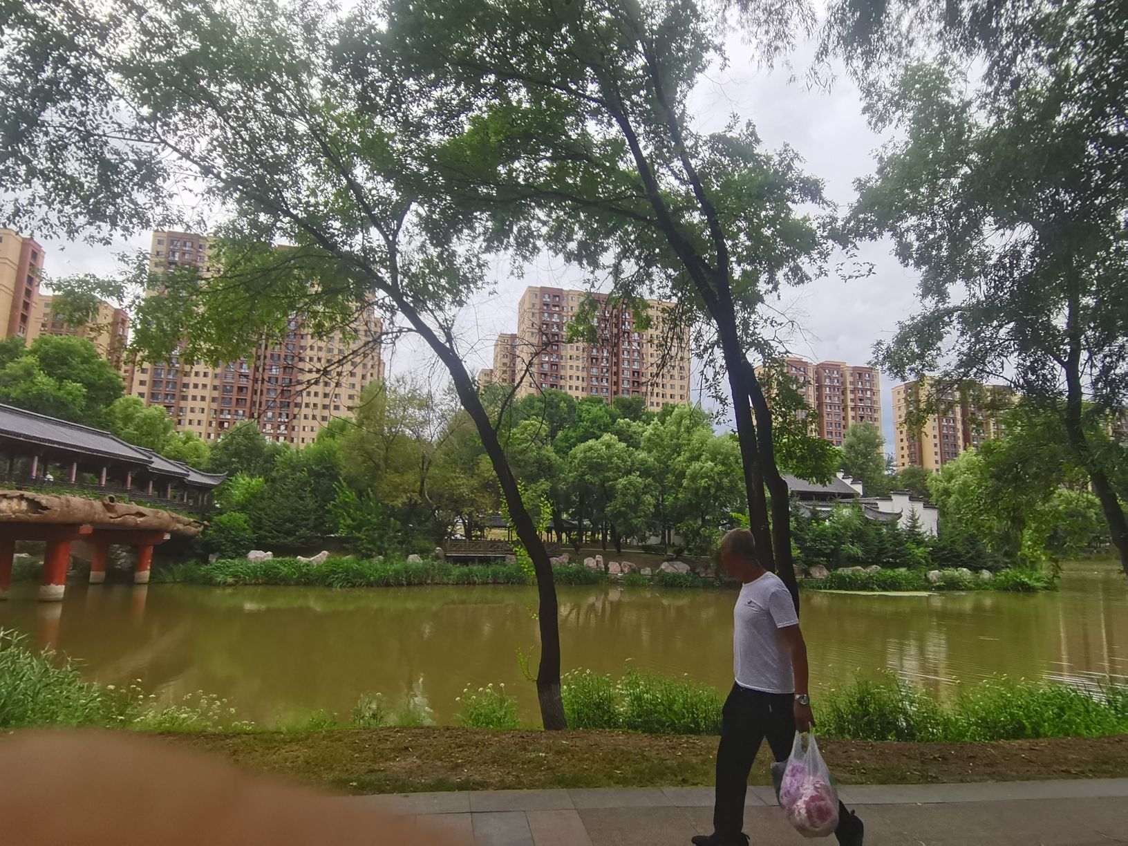 南湖公园旅行图片 3