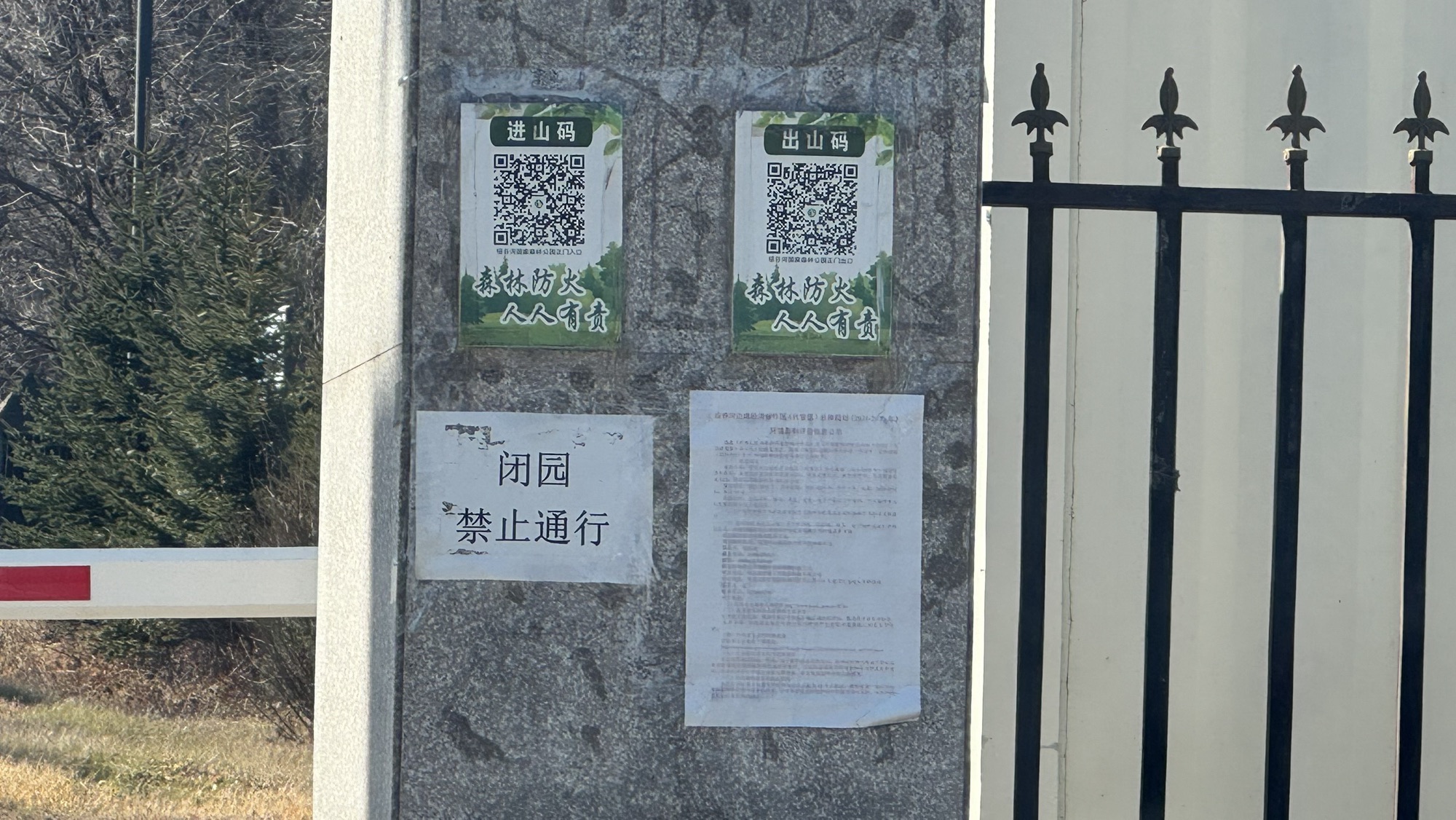 绥芬河国家森林公园旅行图片 1