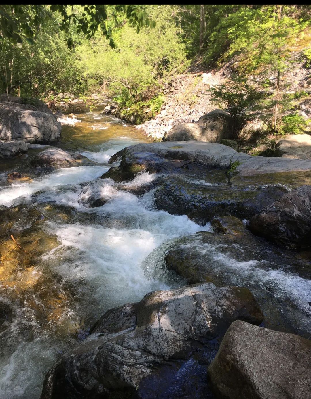 北国小九寨旅行图片 3