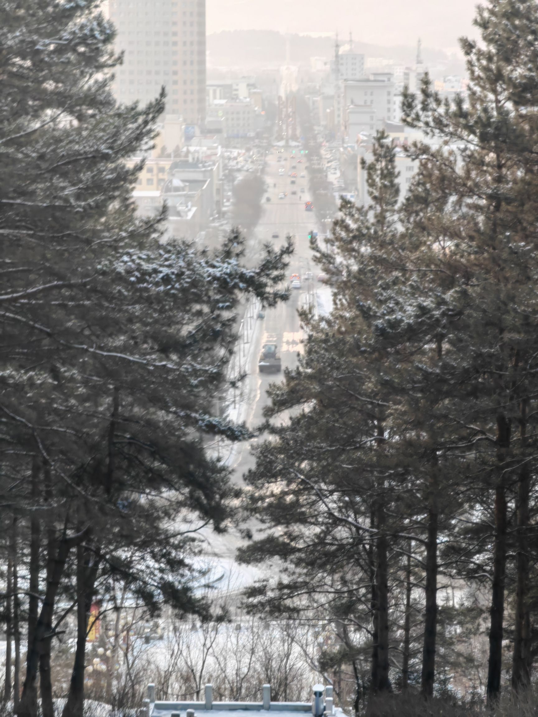 金城公园旅行图片 2