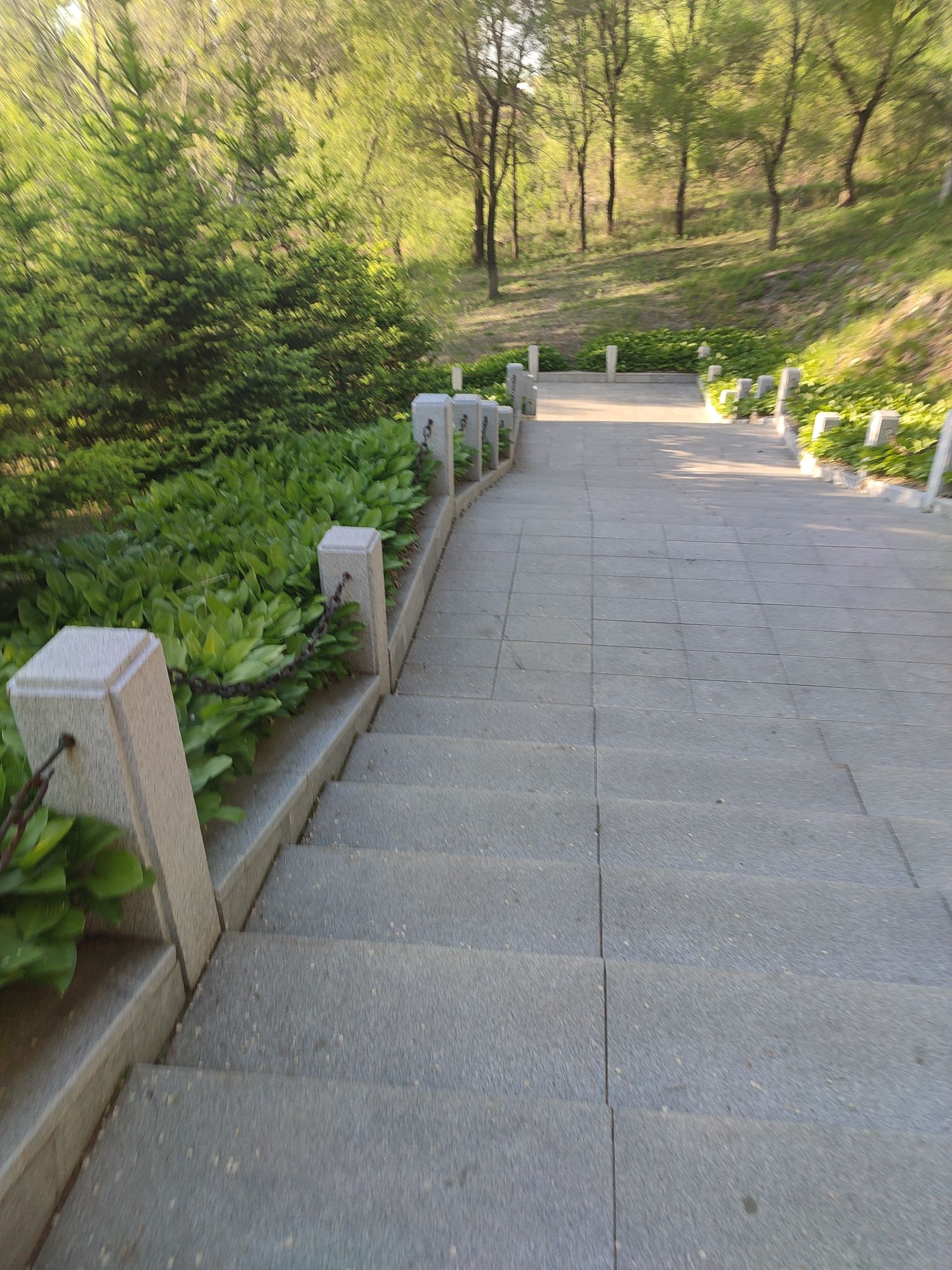 金城公园旅行图片 2