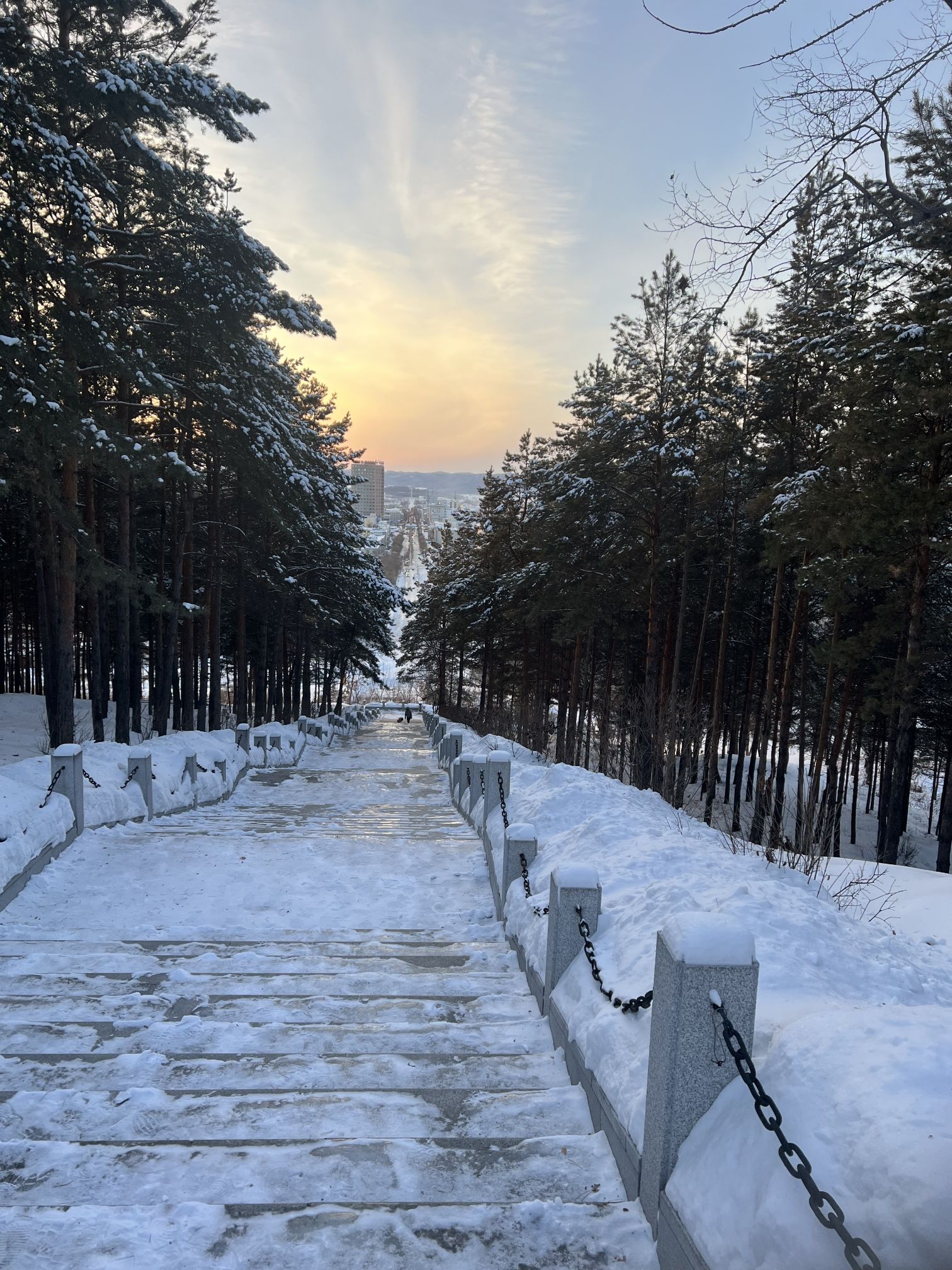 金城公园旅行图片 1