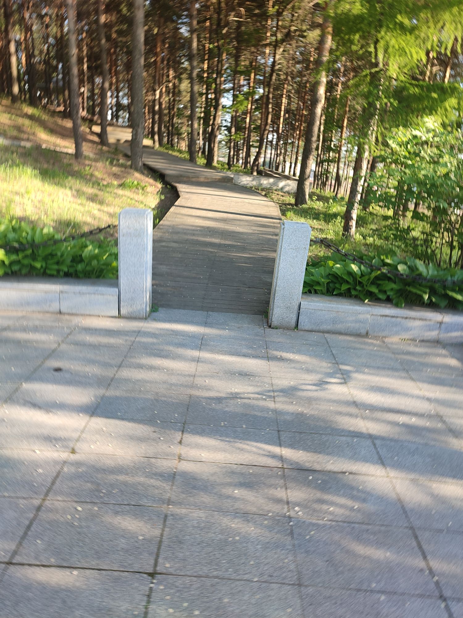 金城公园旅行图片 3