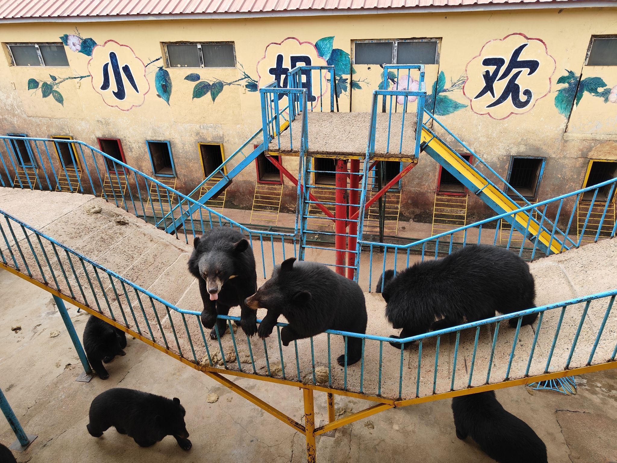 黑宝熊乐园(暂停开放)旅行图片 3