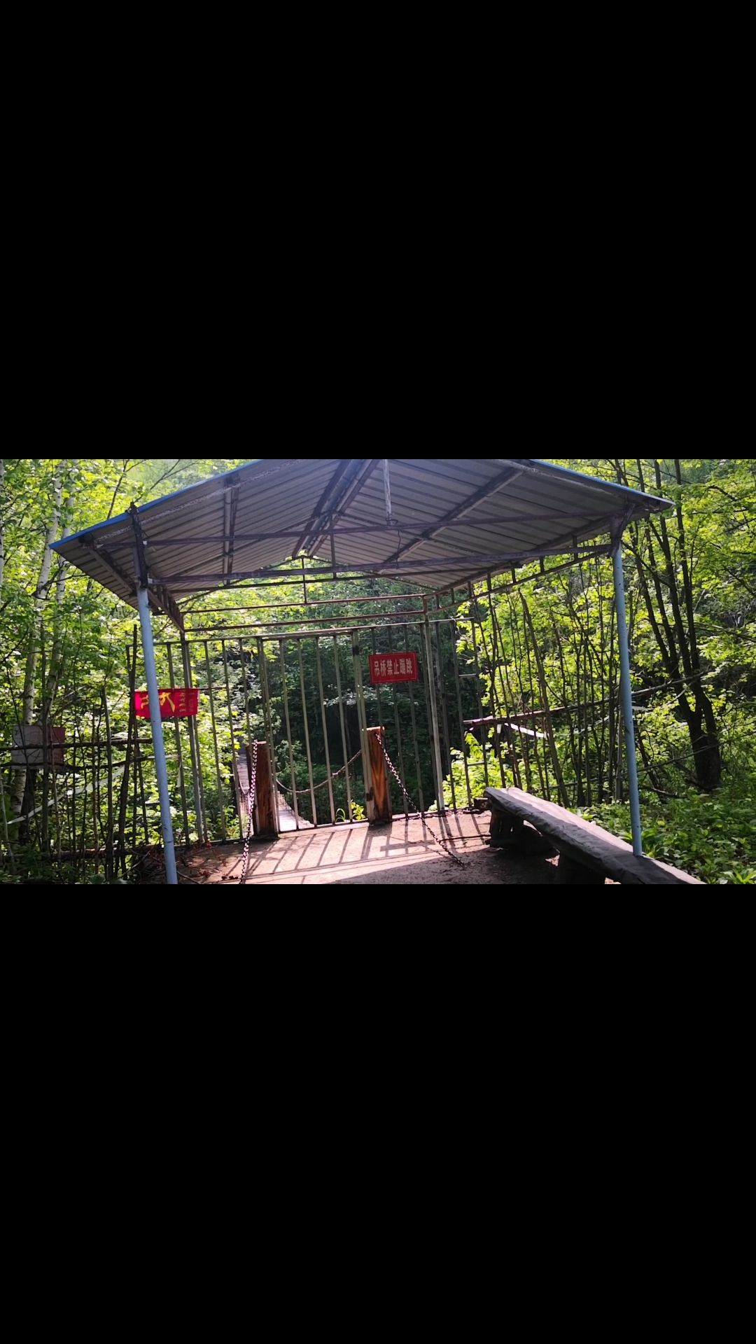 小天桥森林公园旅行图片 1