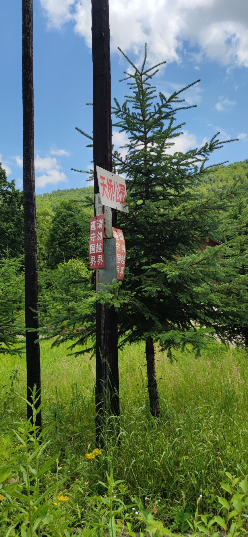 小天桥森林公园旅行图片 2