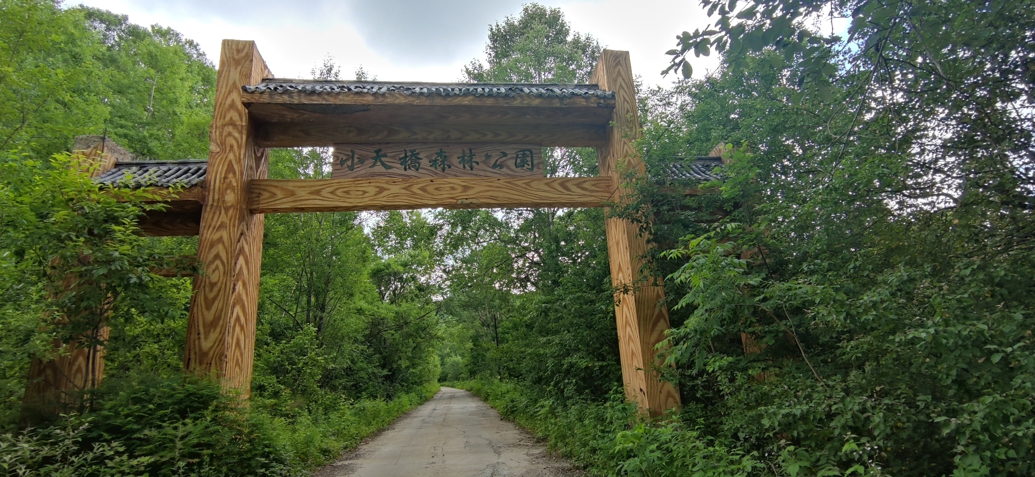 小天桥森林公园