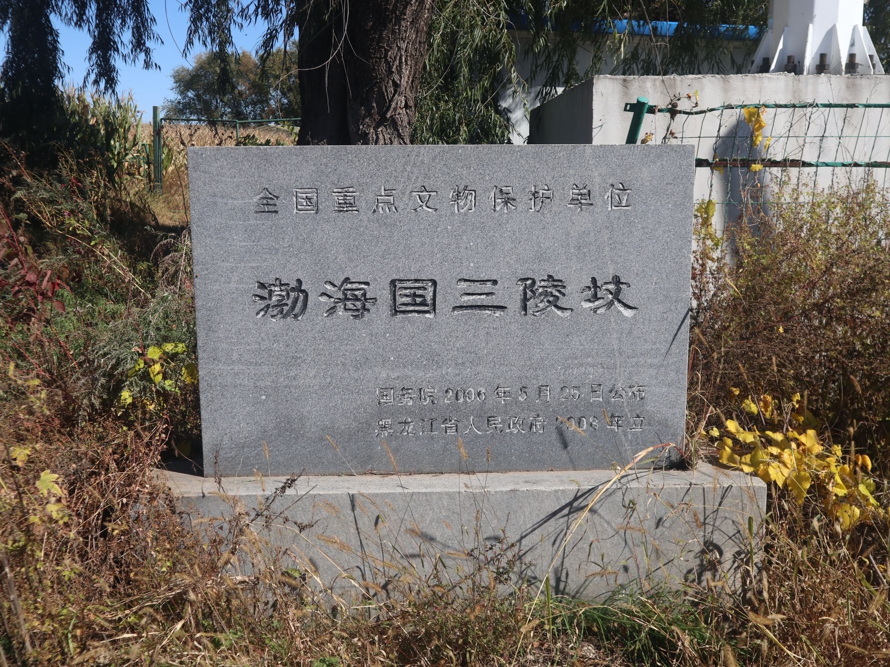 三陵坟旅行图片 1