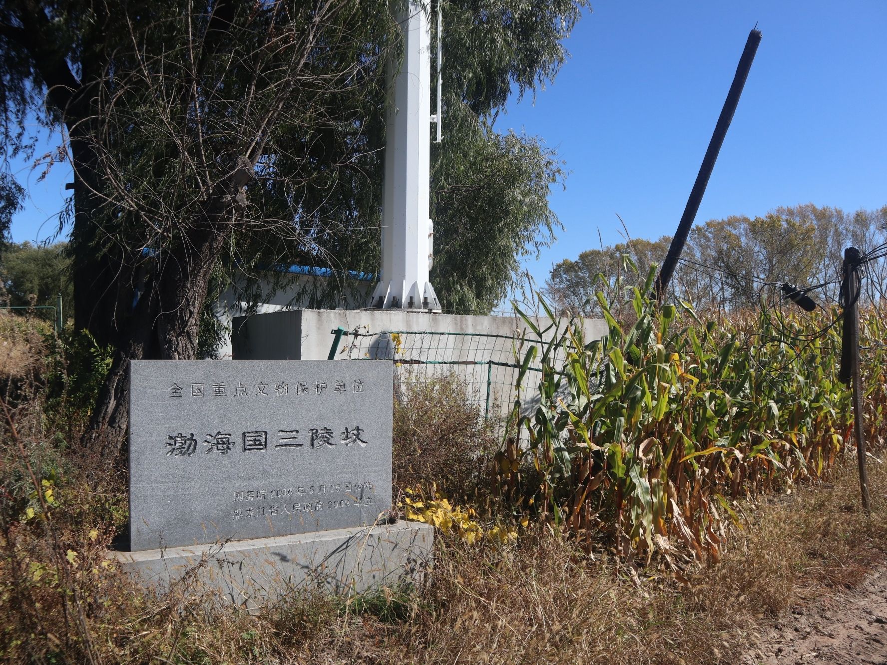 三陵坟旅行图片 2