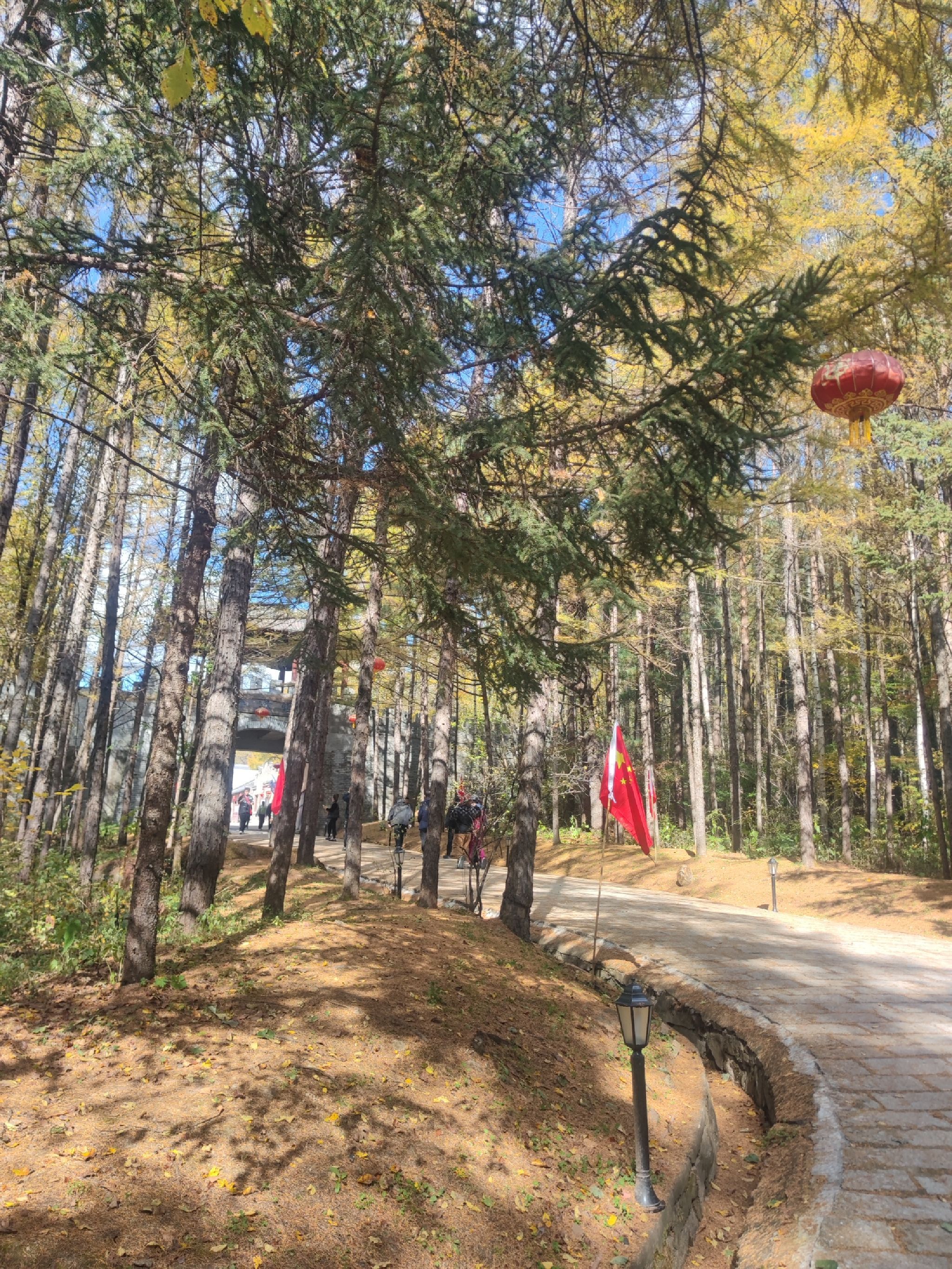 威虎山主峰景区旅行图片 1